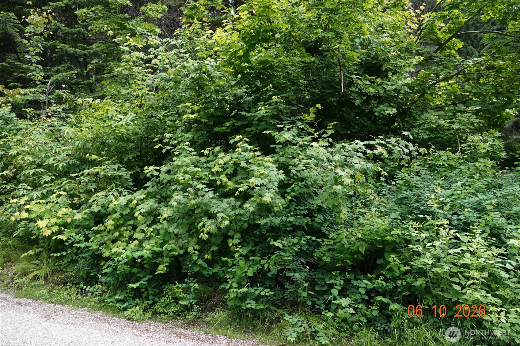 27849 Napeequa Drive Property Photo 16