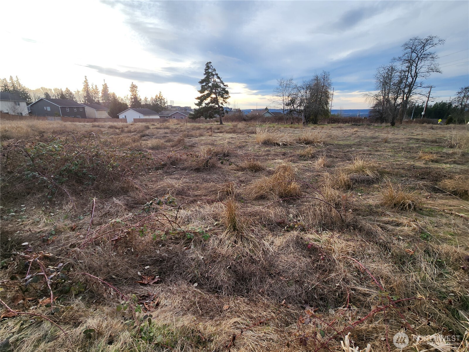 8420 83rd Avenue Property Photo 9