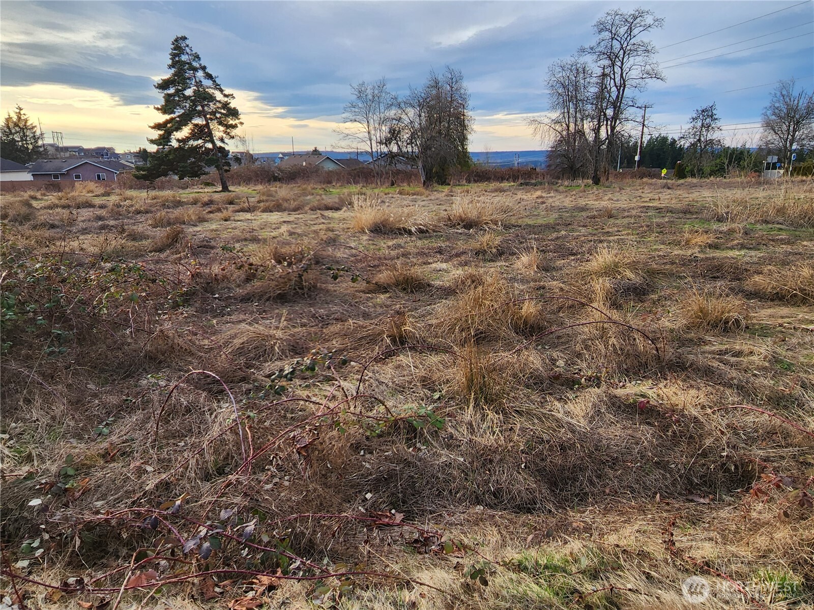 8420 83rd Avenue Property Photo 10