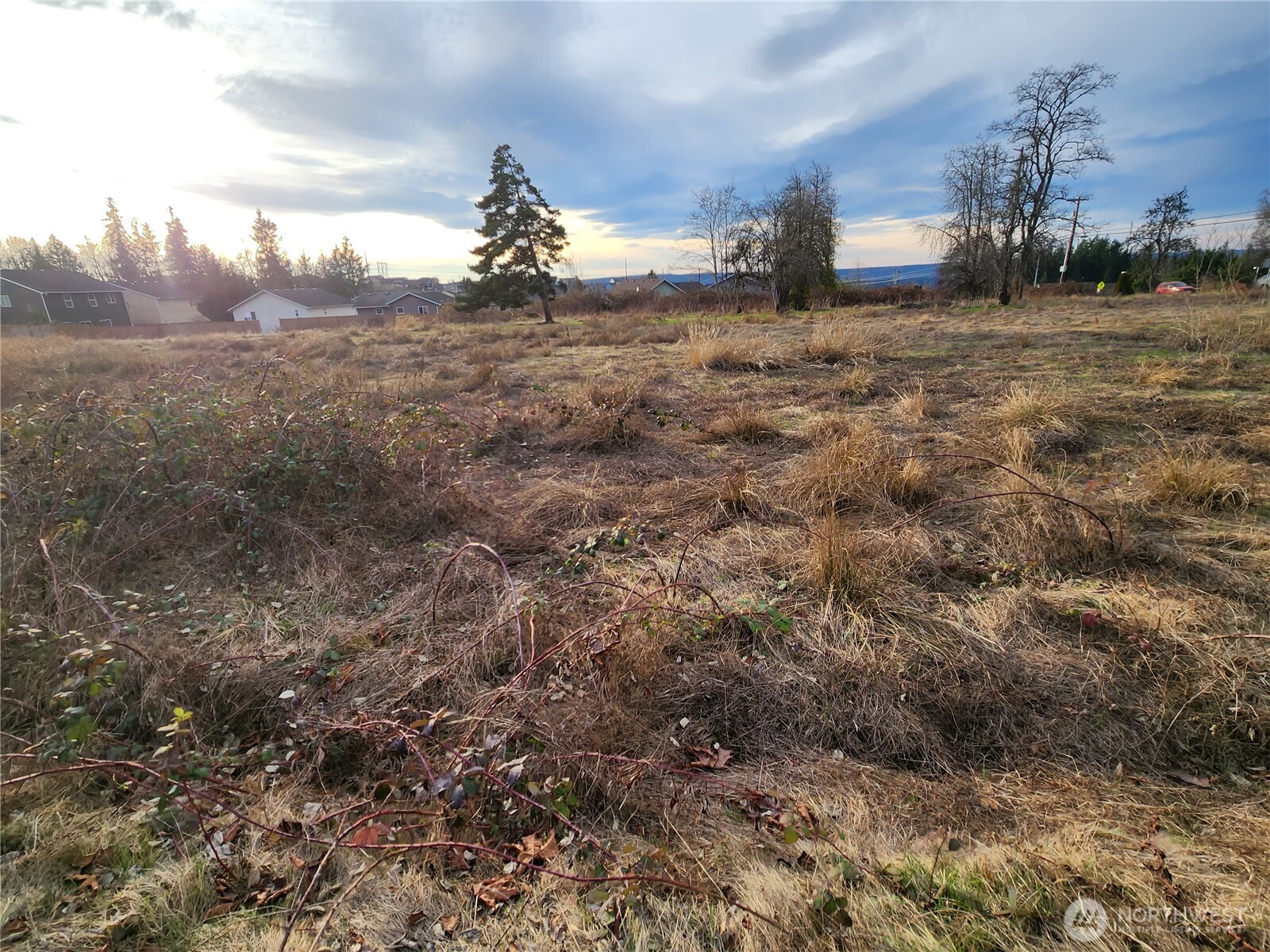 8420 83rd Avenue Property Photo 14
