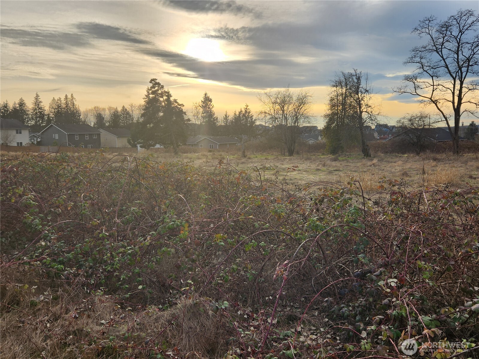 8420 83rd Avenue Property Photo 15