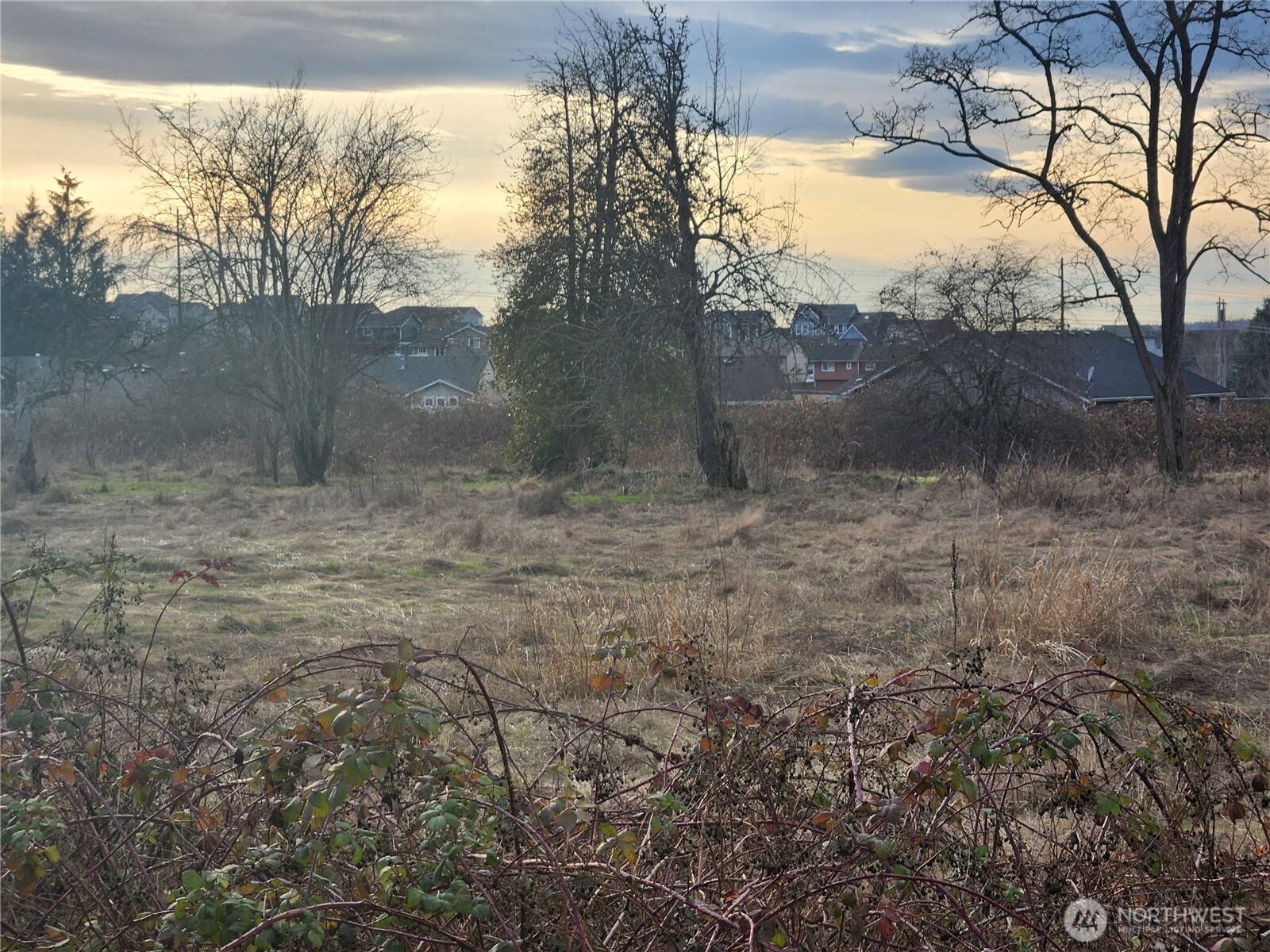 8420 83rd Avenue Property Photo 16