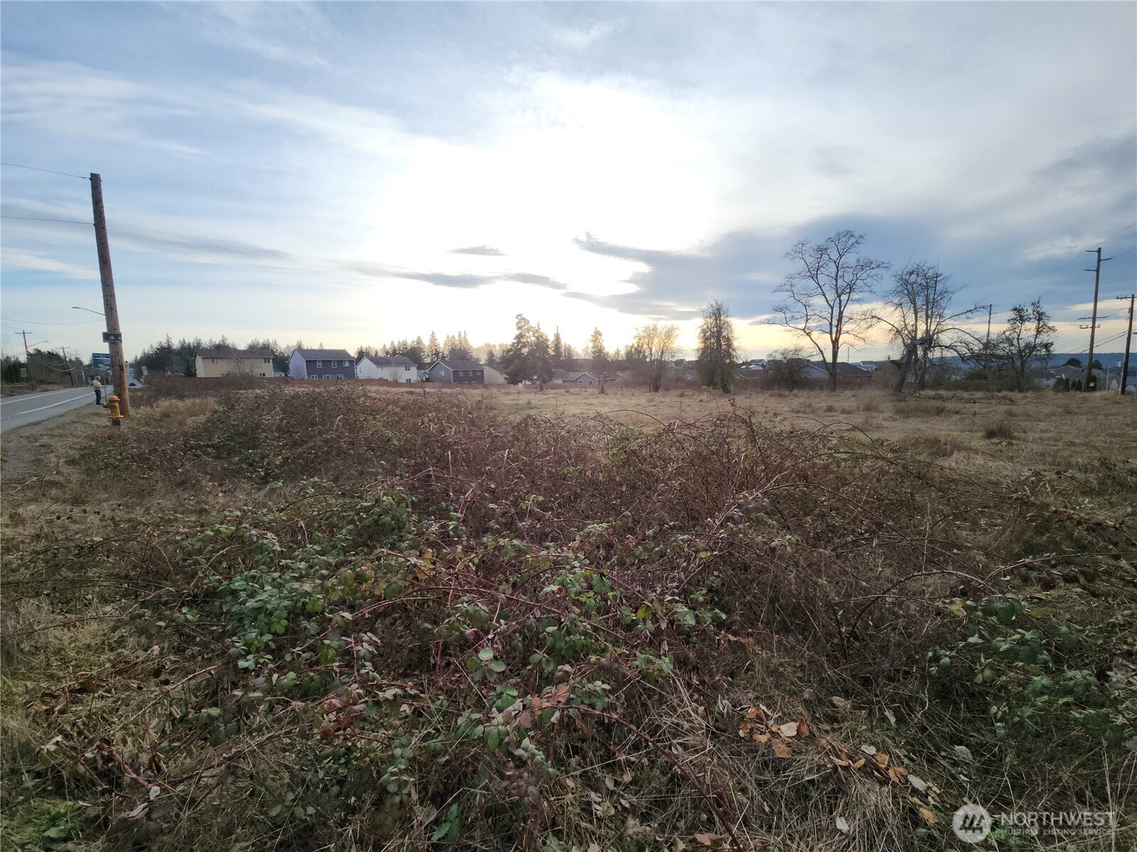 8420 83rd Avenue Property Photo 20