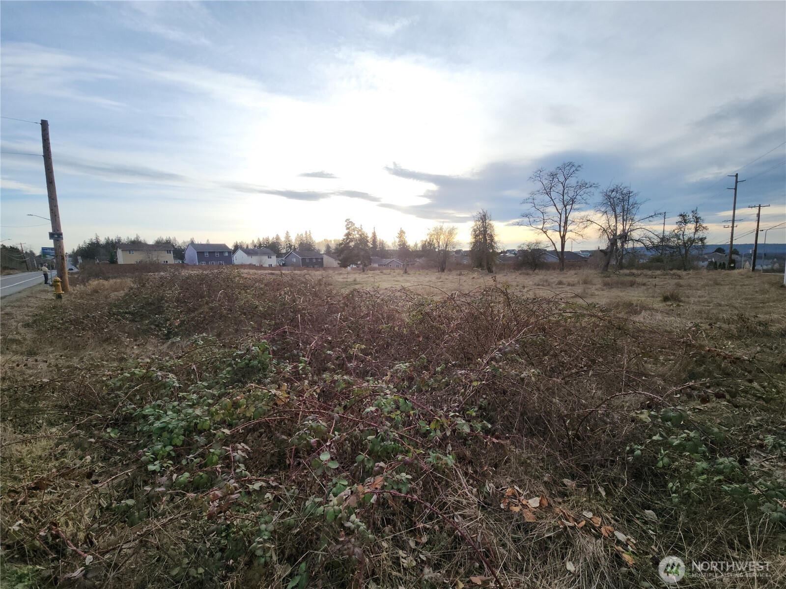 8420 83rd Avenue Property Photo 21