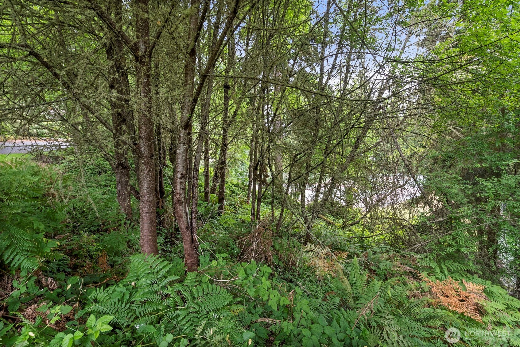 6 Kala Lagoon Court Property Photo 9