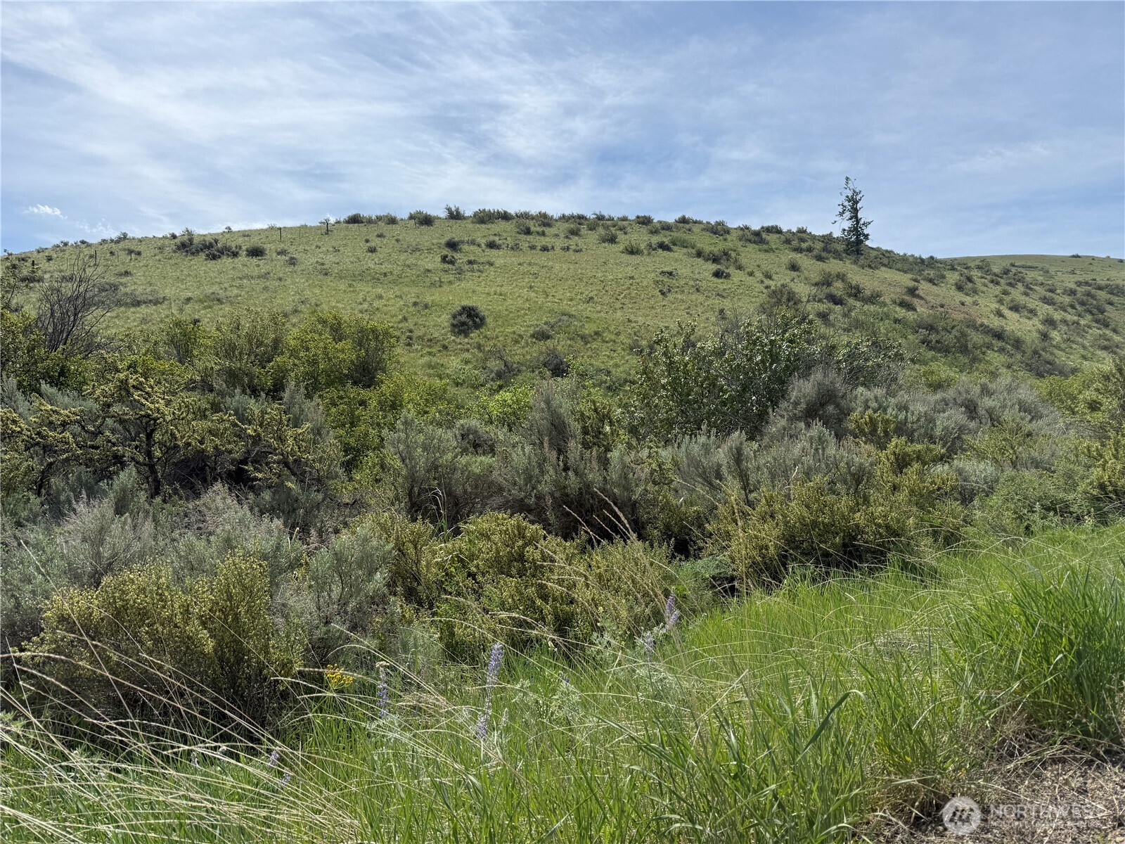 0 Titchenal Canyon Road Property Photo 5