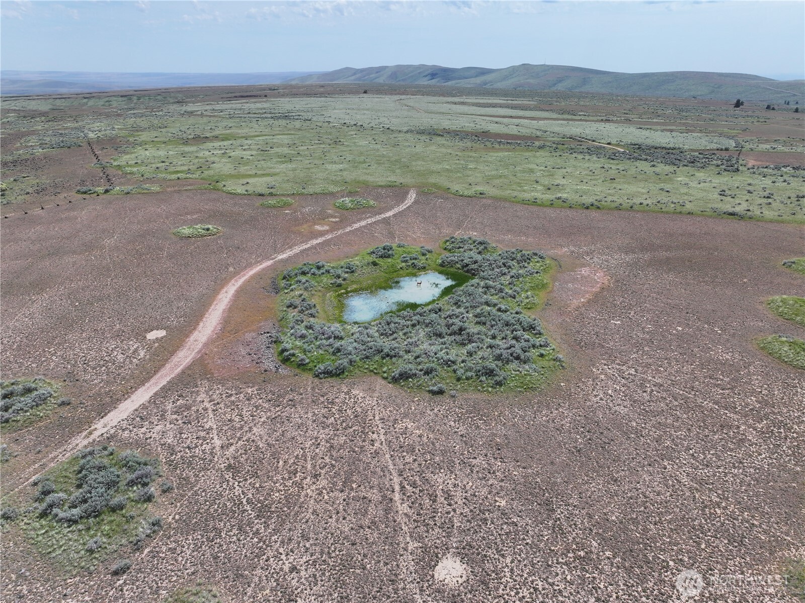 0 Titchenal Canyon Road Property Photo 7