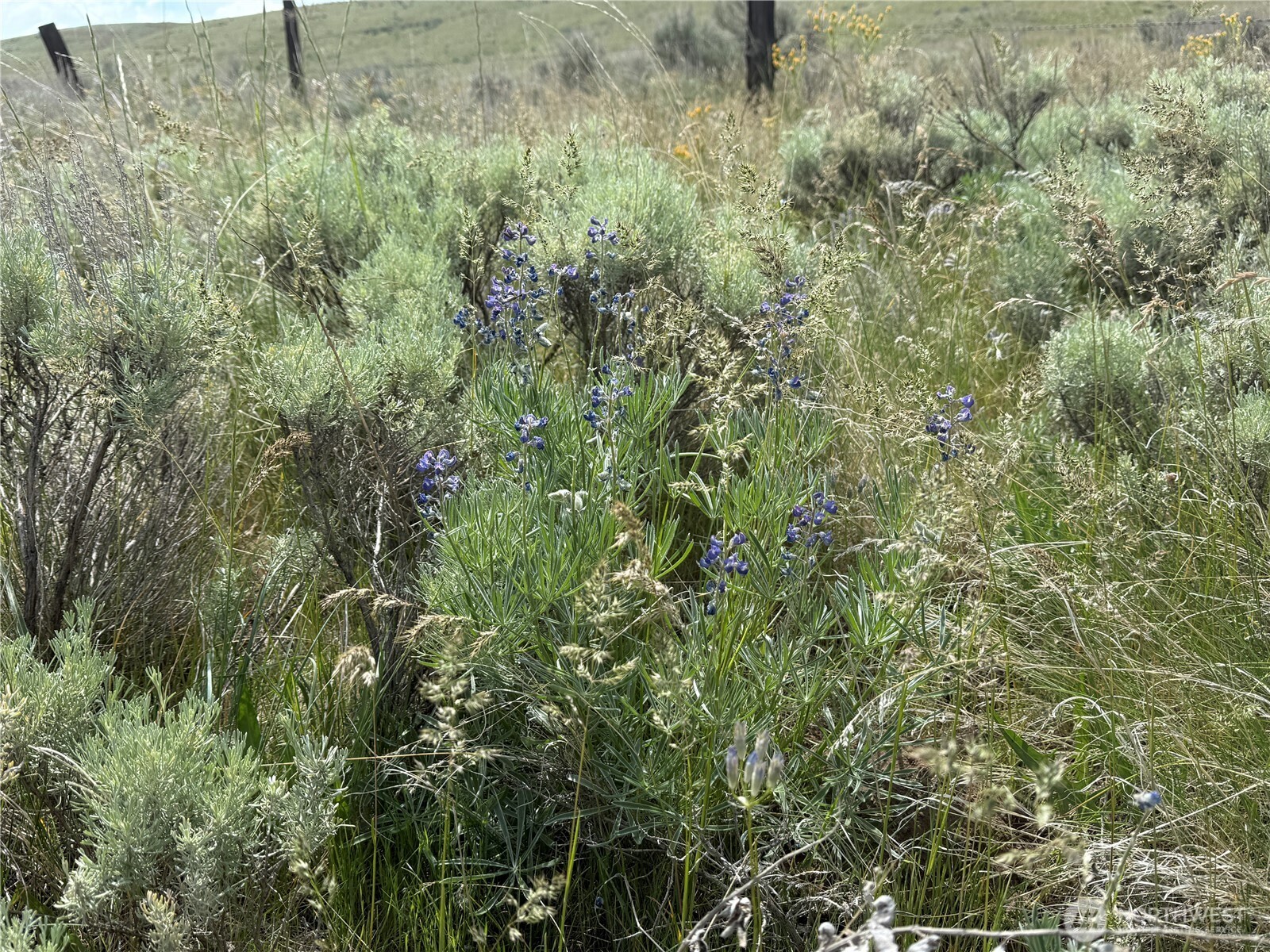0 Titchenal Canyon Road Property Photo 12