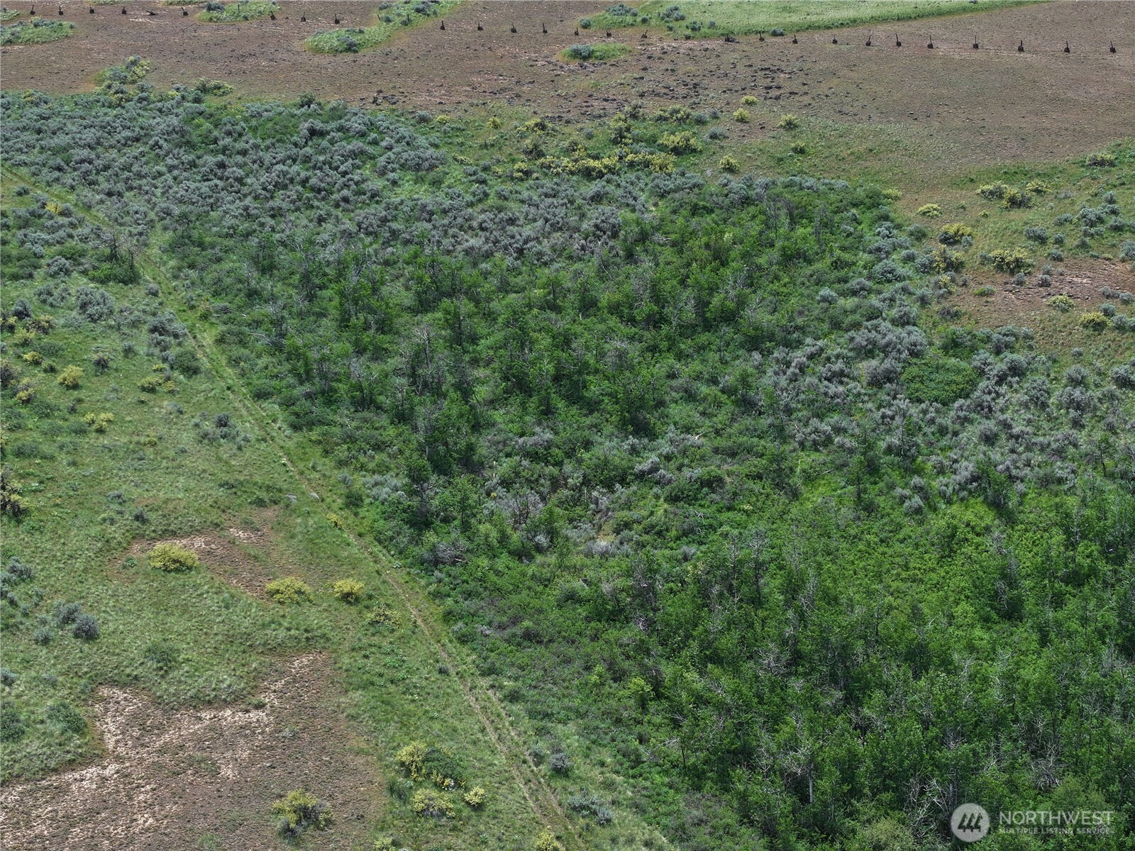 0 Titchenal Canyon Road Property Photo 29