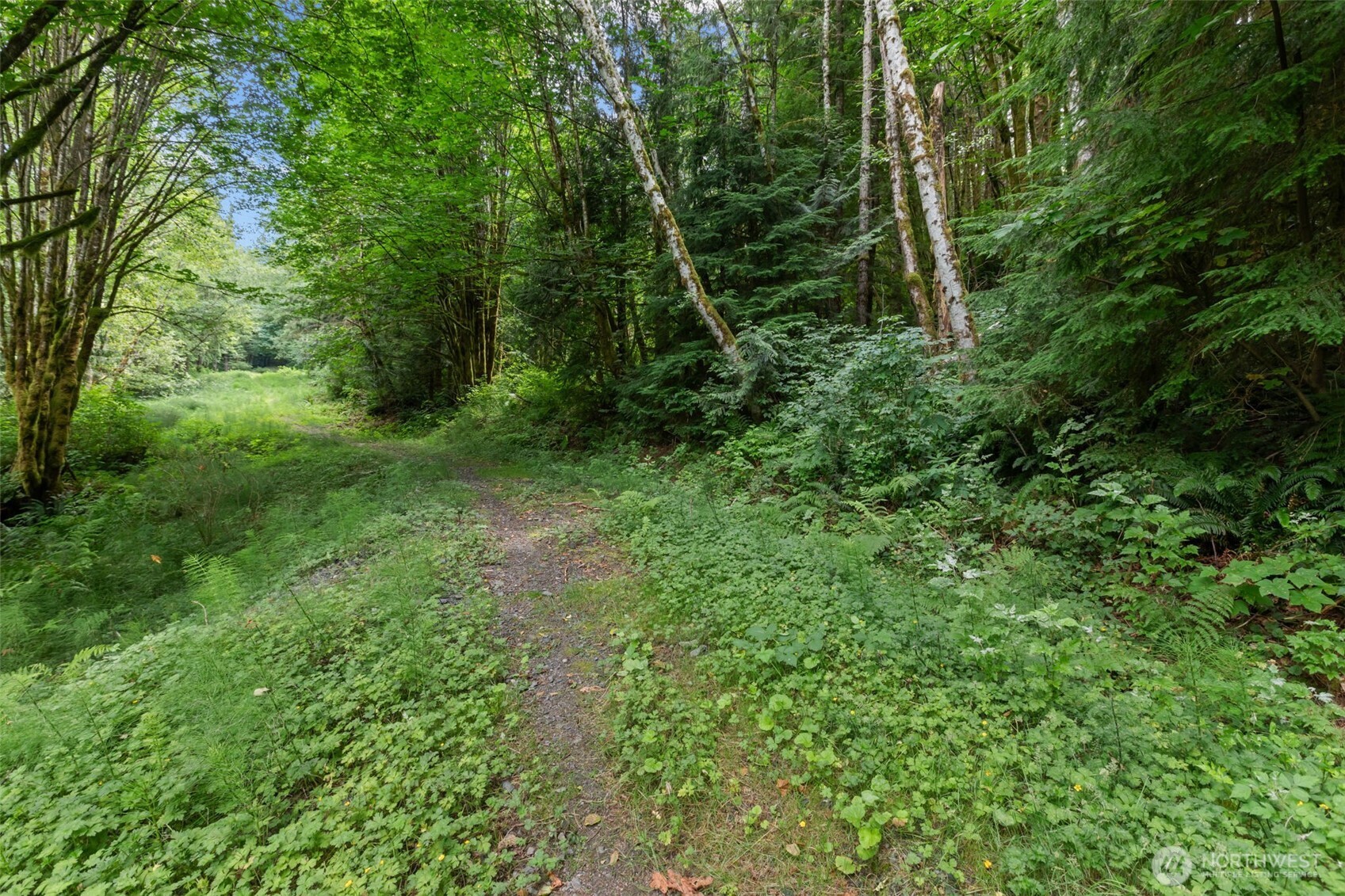 0 Xxxx State Rte 530 (3207140020020) Property Photo 2