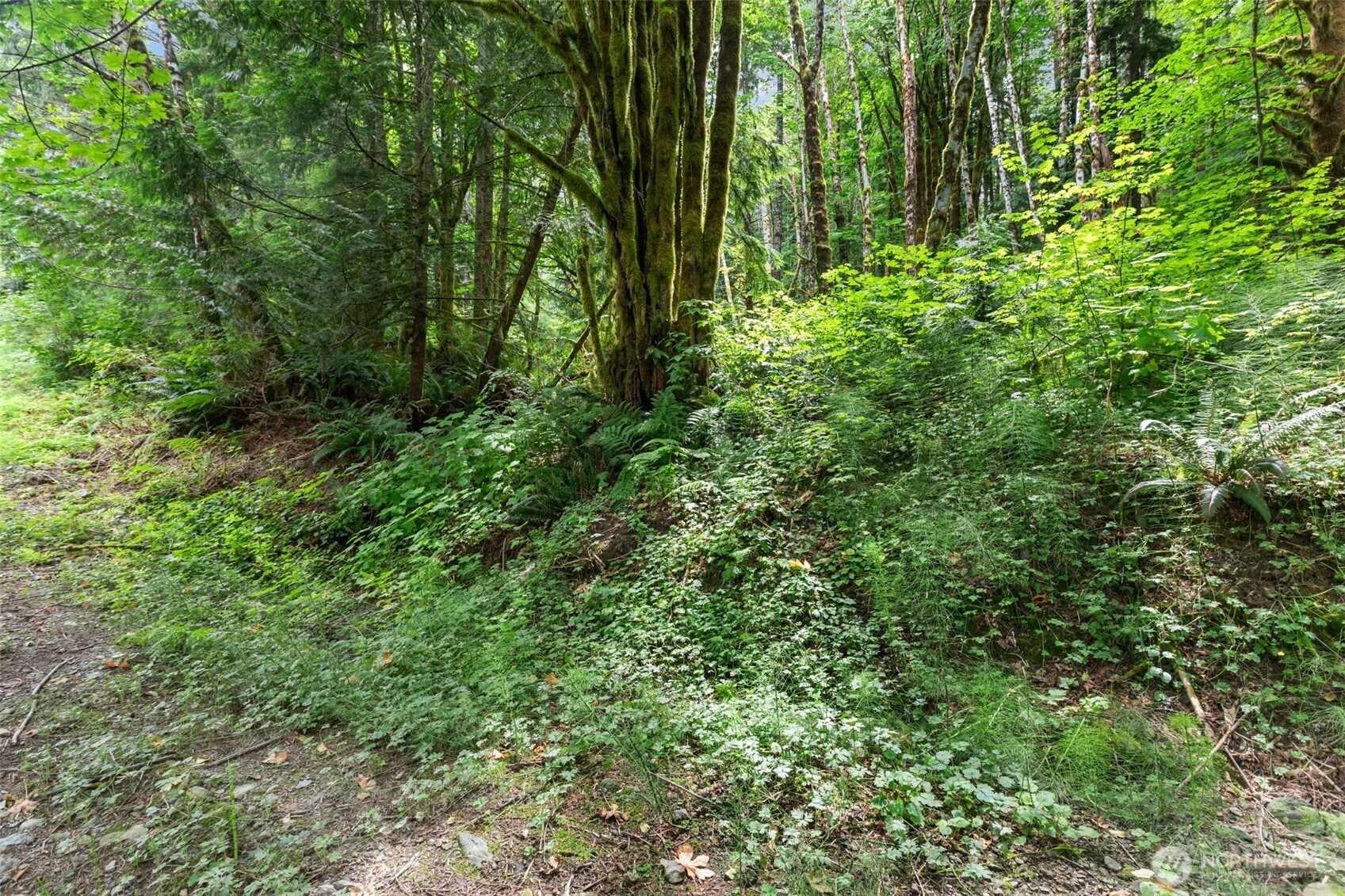 0 Xxxx State Rte 530 (3207140020020) Property Photo 11