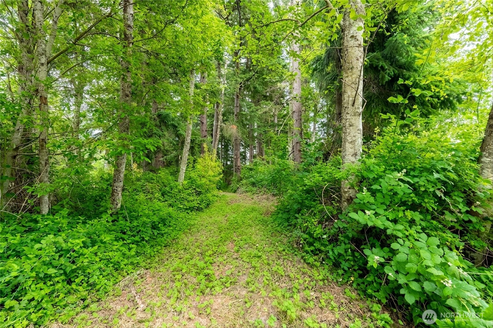 5027 Yellow Brick Road Property Photo 37