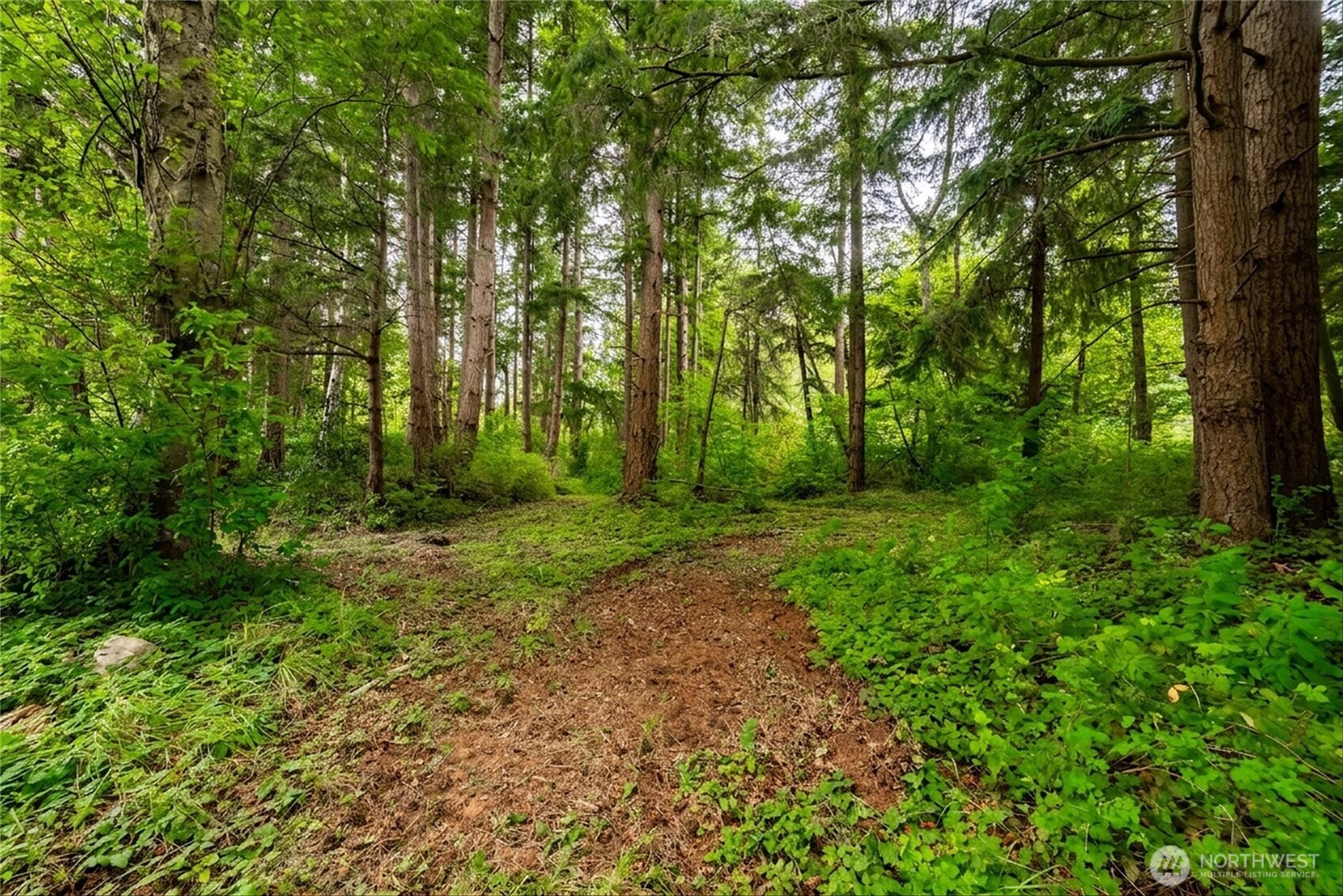 5027 Yellow Brick Road Property Photo 38