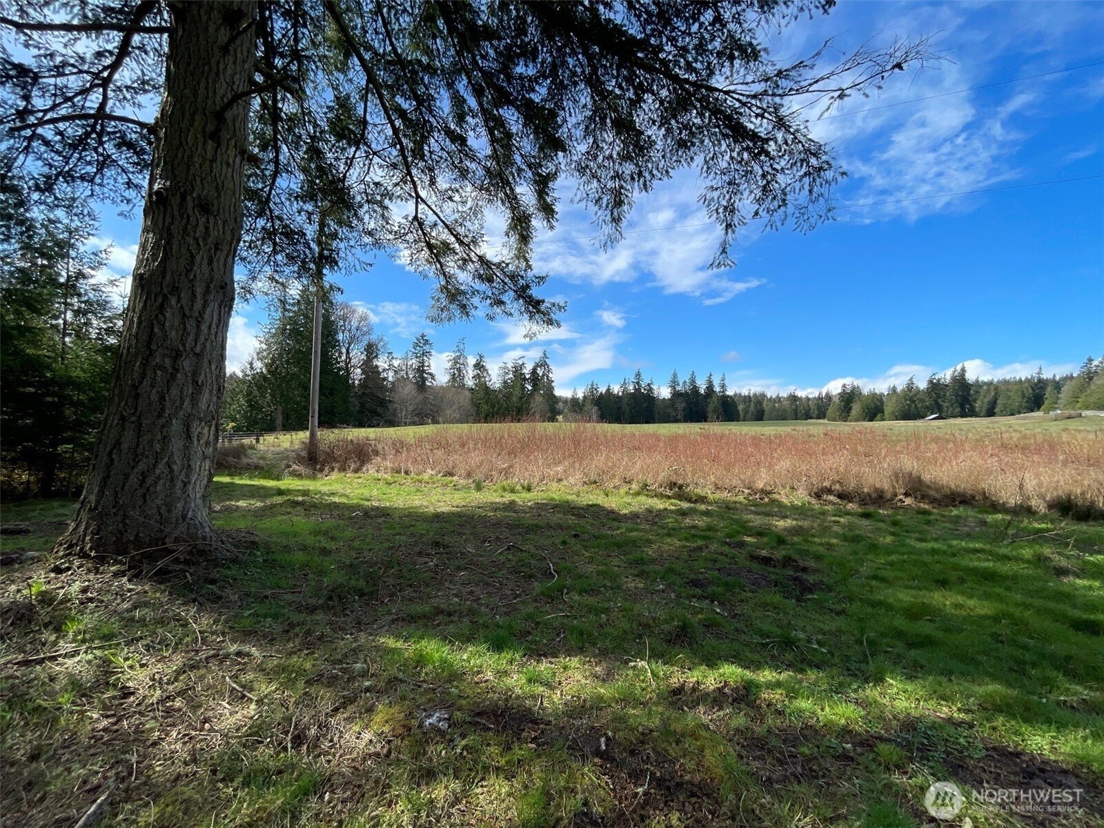 33247 Eglon Road Property Photo 2