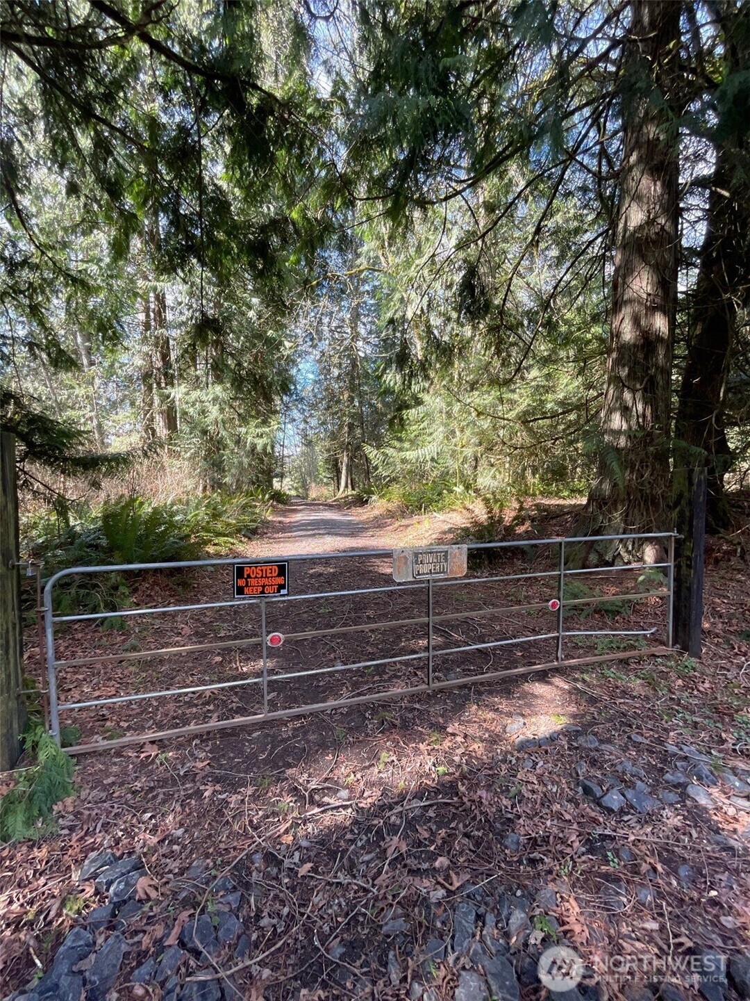 33247 Eglon Road Property Photo 6