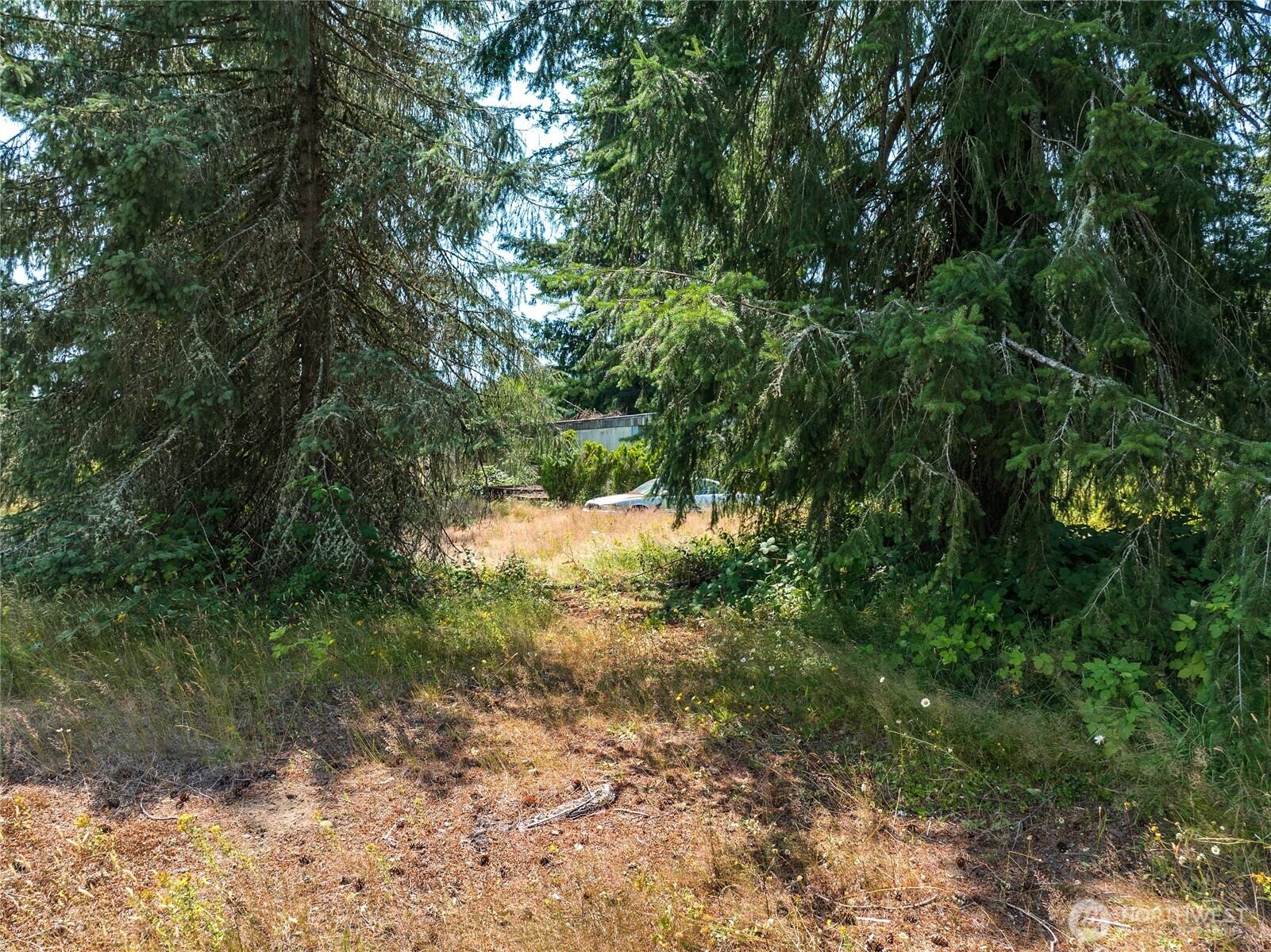 21115 Renton Maple Valley Road Property Photo 5