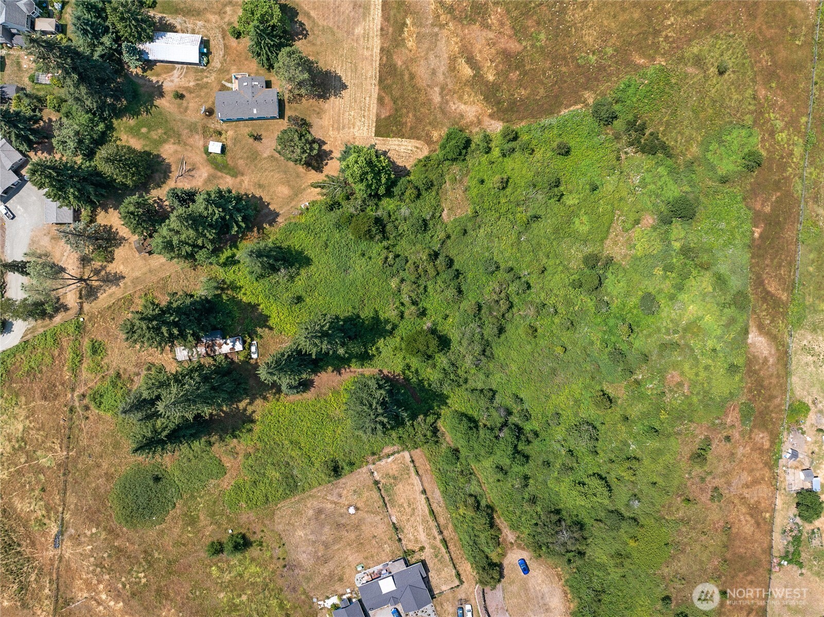 21115 Renton Maple Valley Road Property Photo 7