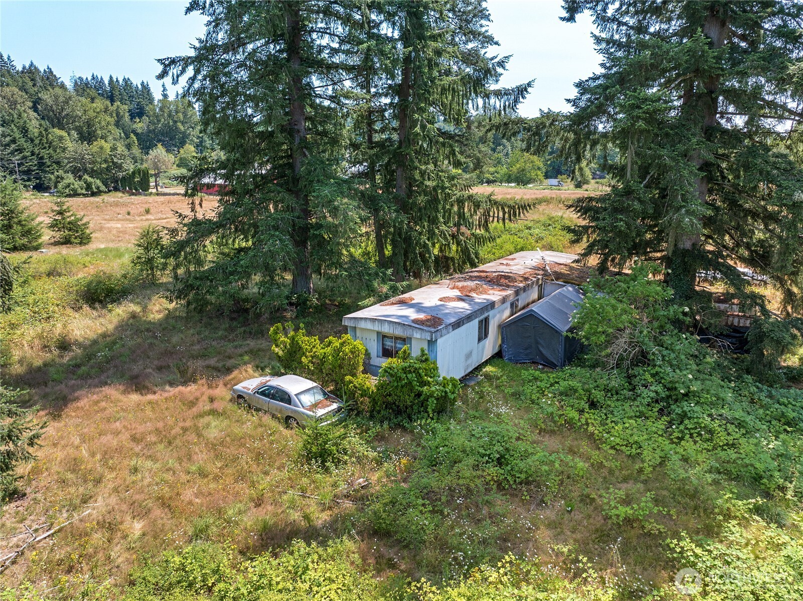 21115 Renton Maple Valley Road Property Photo 9