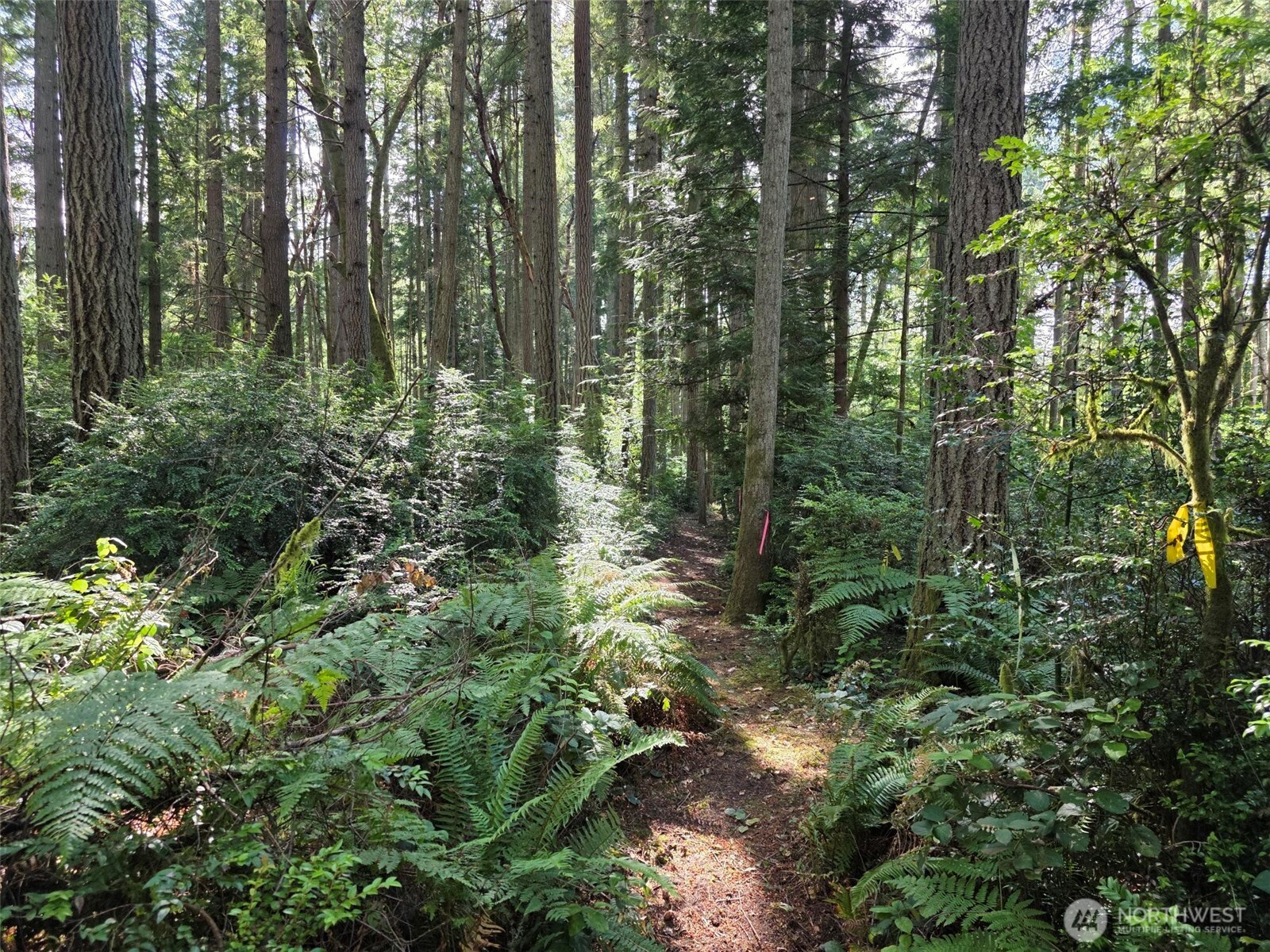 23601 Landers Road Property Photo 6