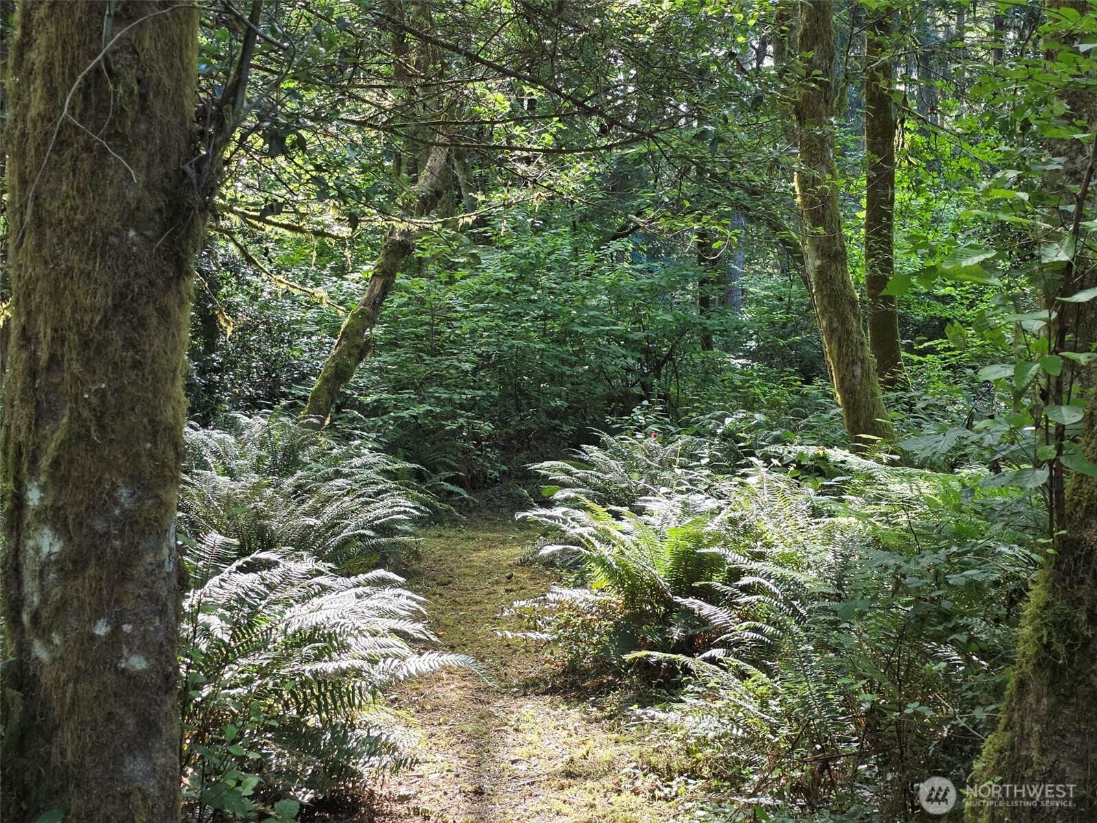 23601 Landers Road Property Photo 11