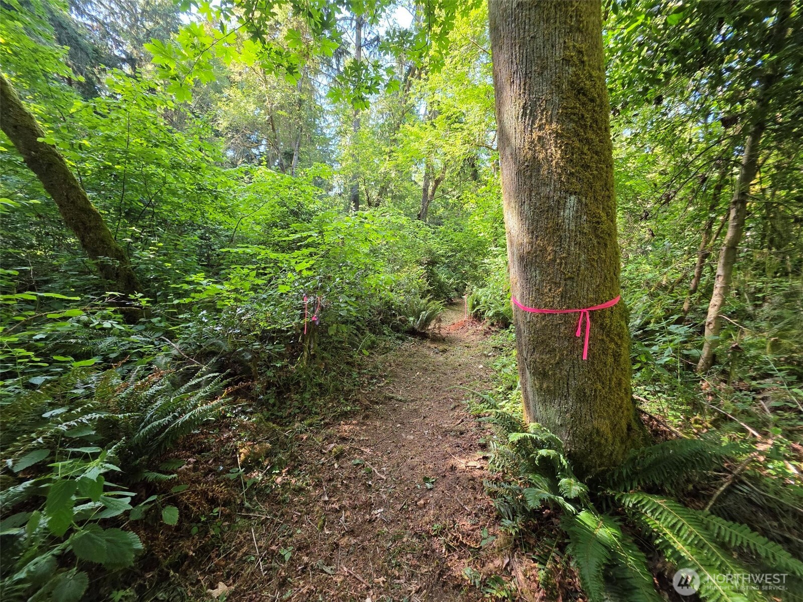 23601 Landers Road Property Photo 12