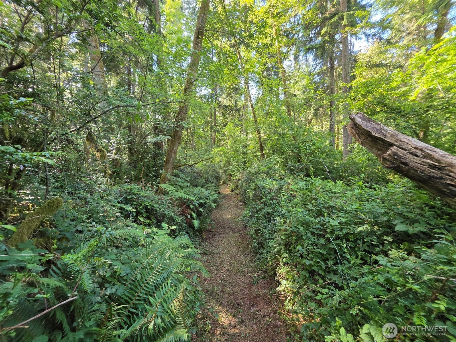 23601 Landers Road Property Photo 13