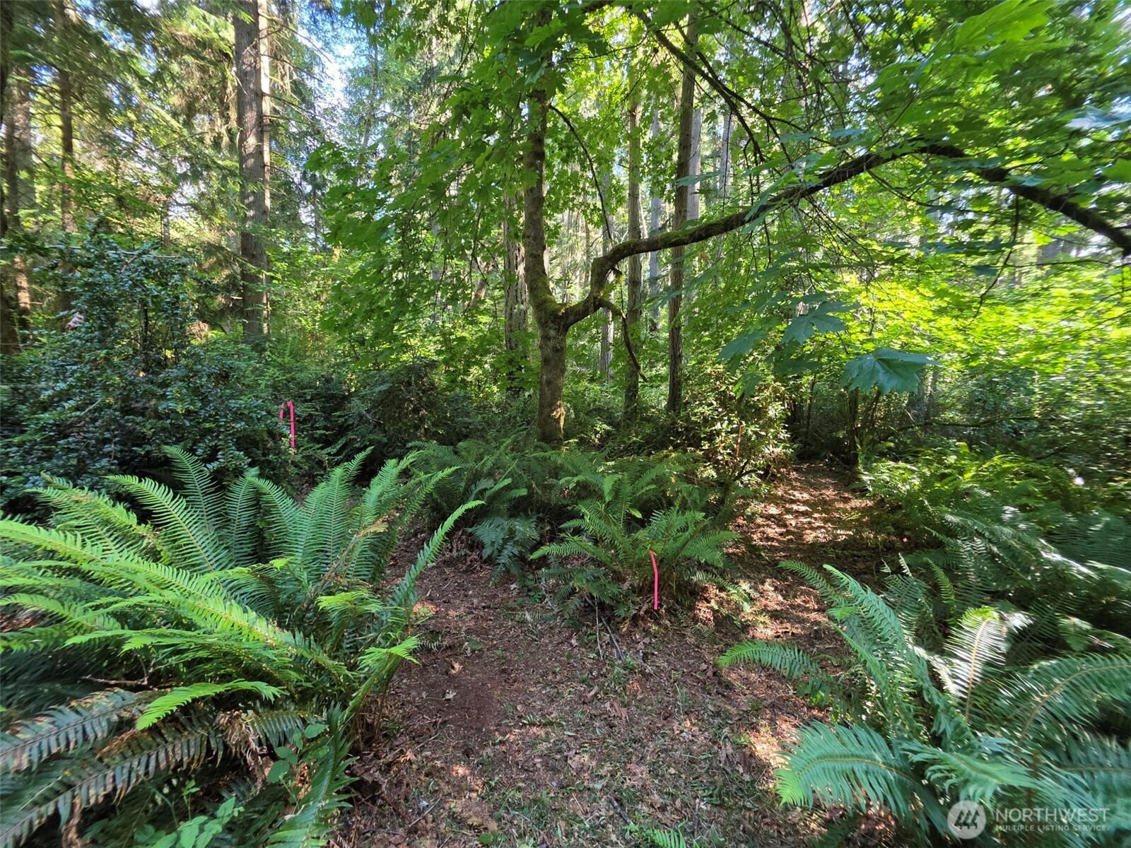 23601 Landers Road Property Photo 14