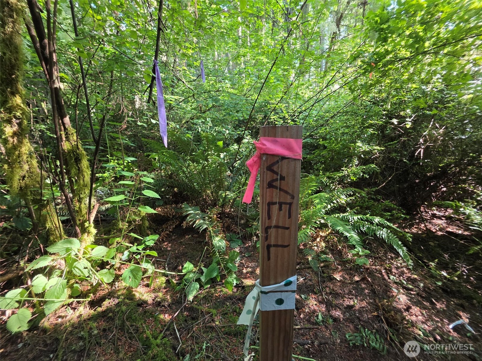 23601 Landers Road Property Photo 15