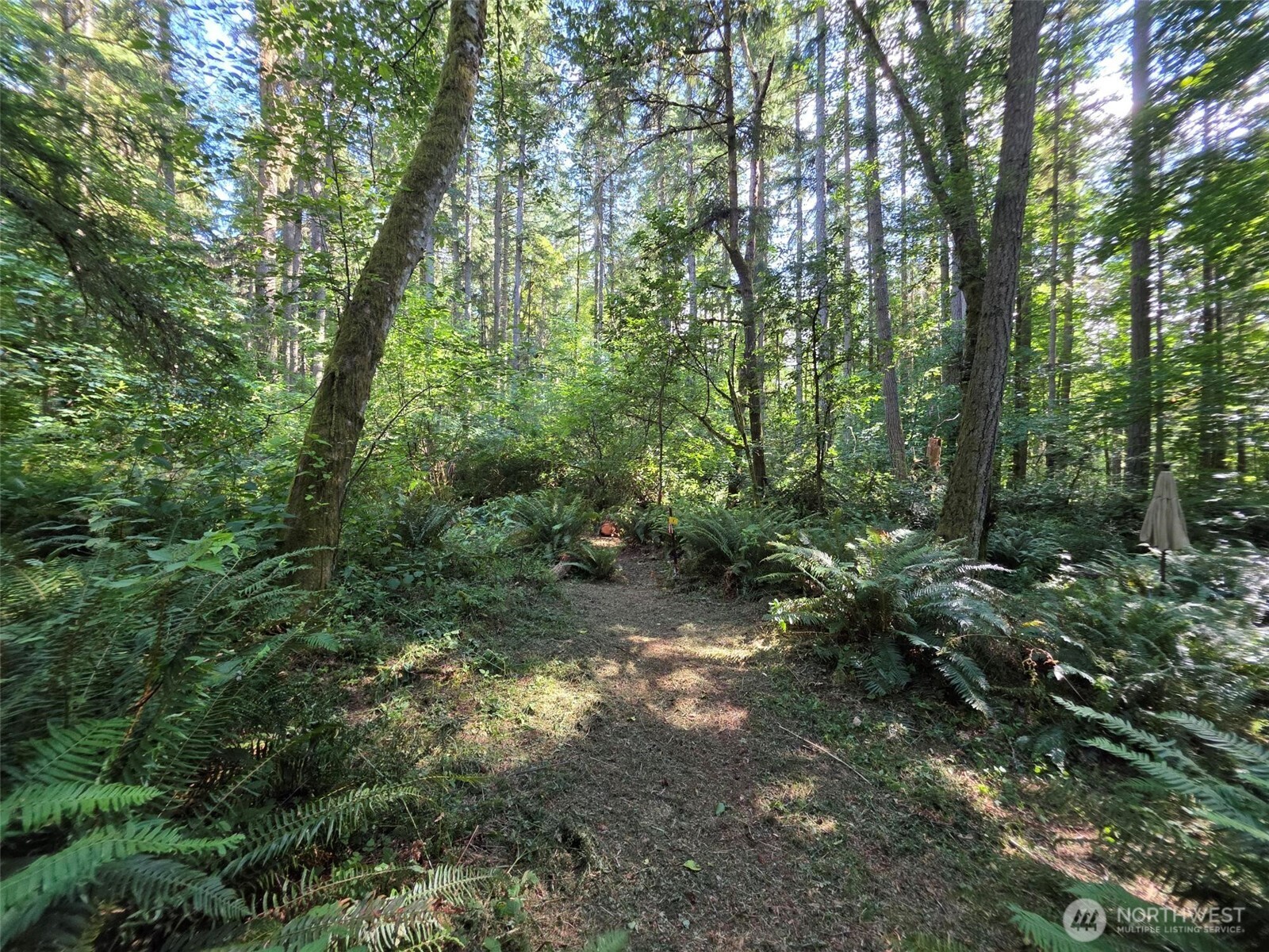 23601 Landers Road Property Photo 16