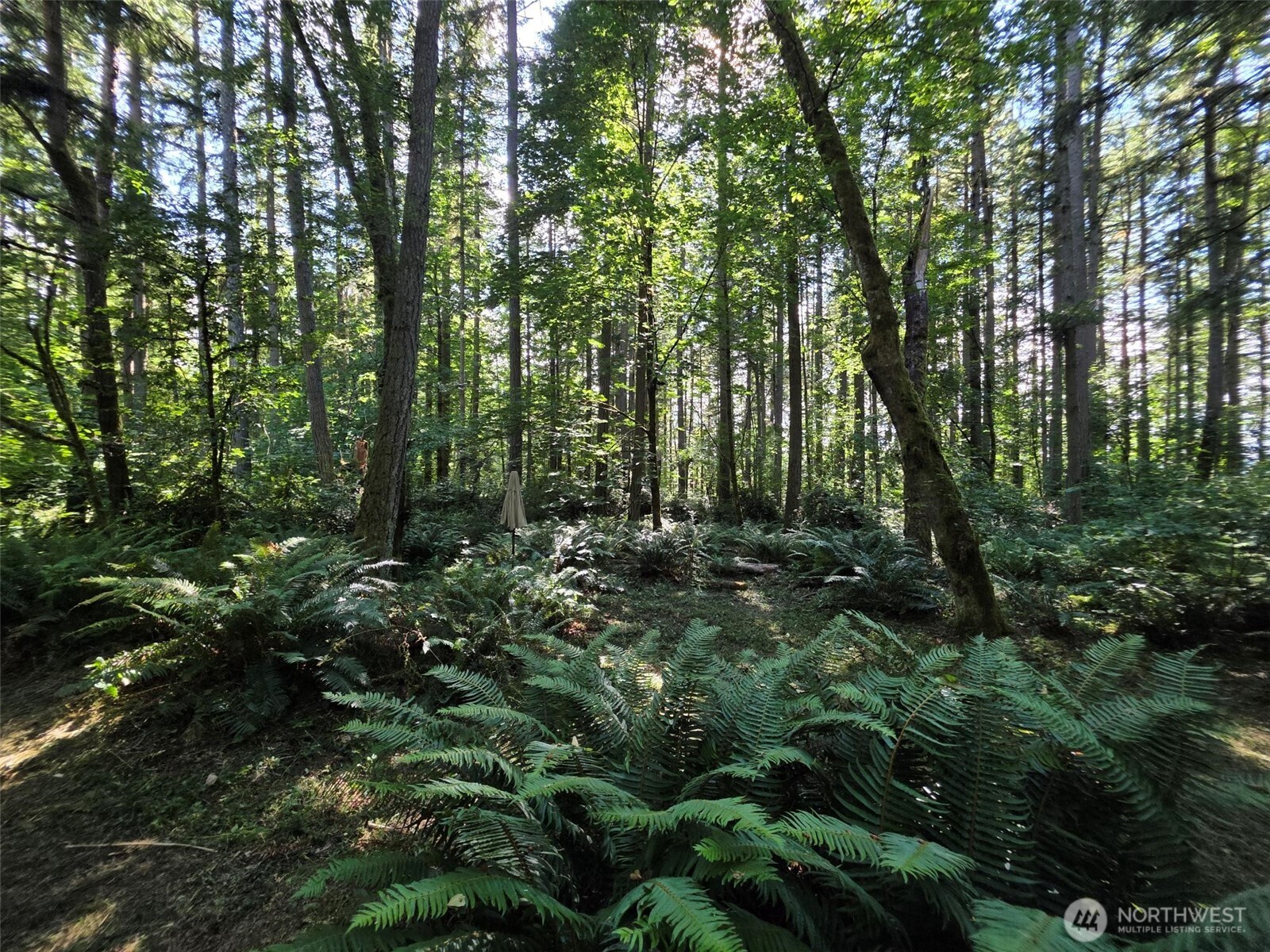 23601 Landers Road Property Photo 17