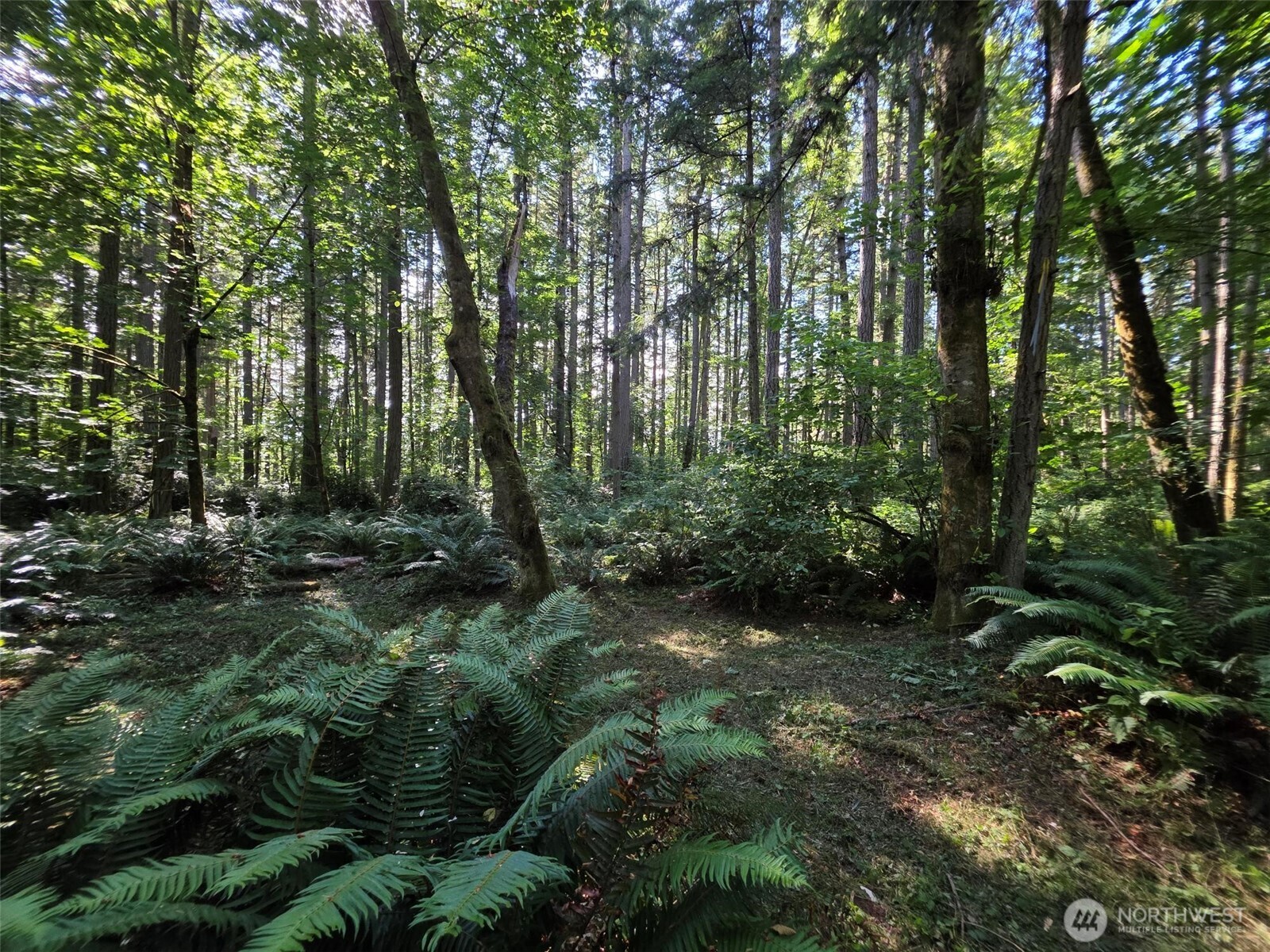 23601 Landers Road Property Photo 18
