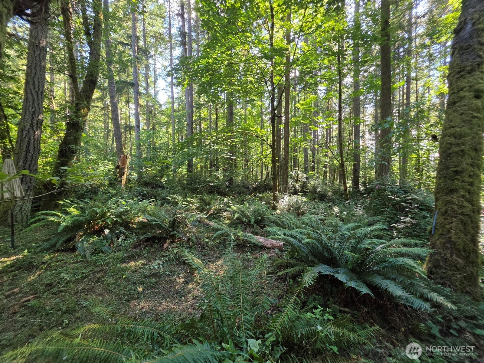 23601 Landers Road Property Photo 19