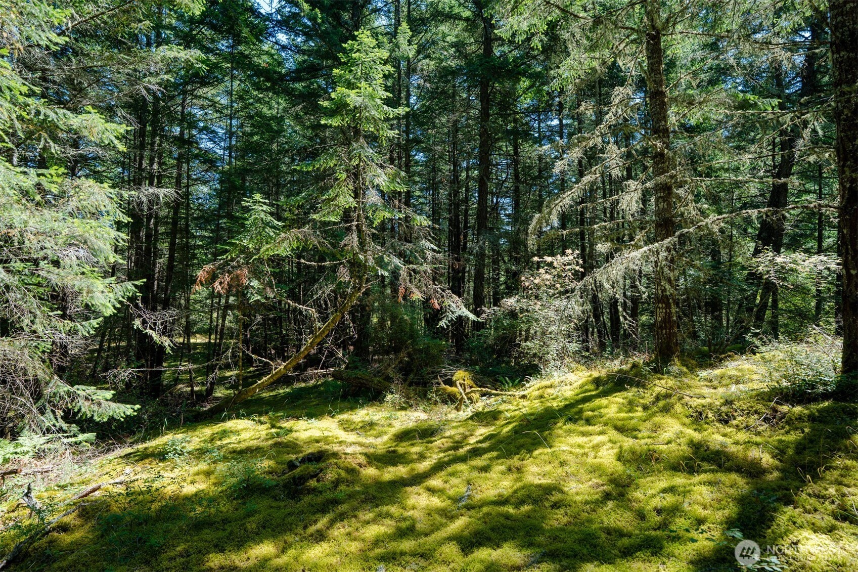 1087 Cady Mountain Road Property Photo 3