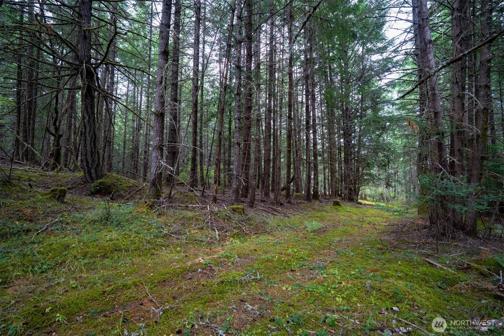 1087 Cady Mountain Road Property Photo 4