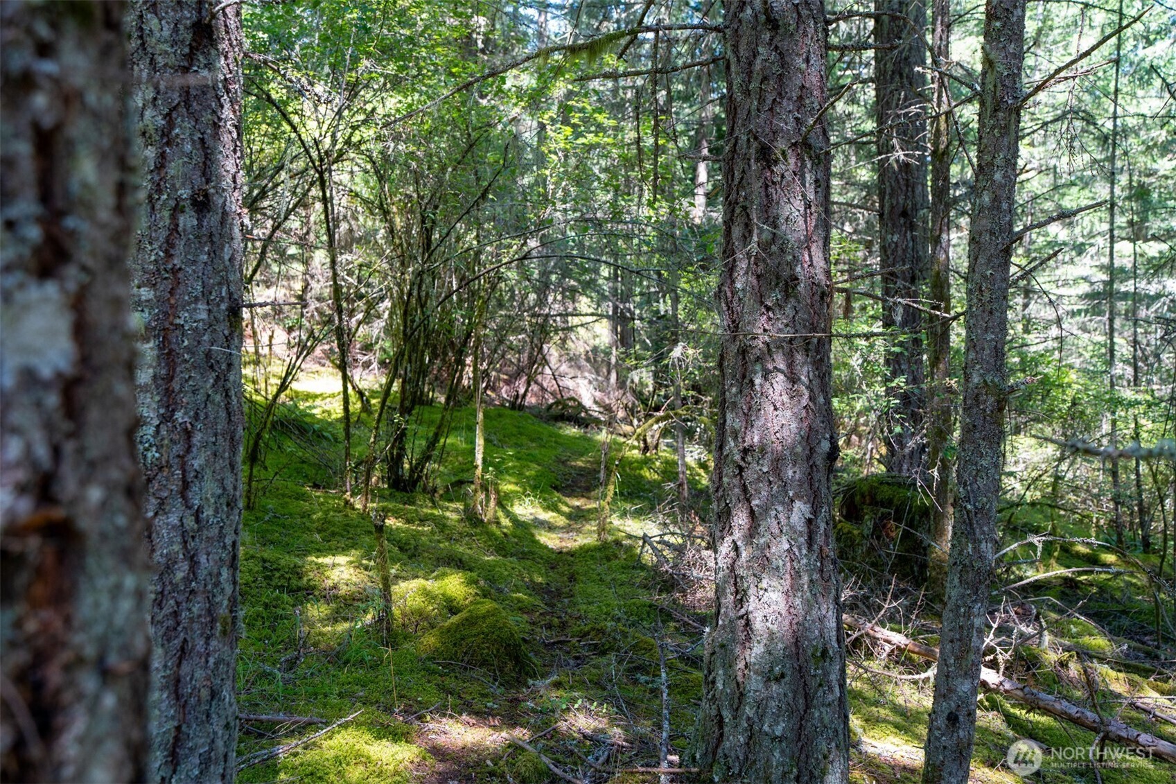 1087 Cady Mountain Road Property Photo 6