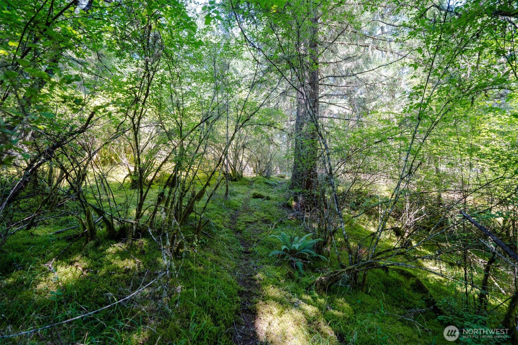 1087 Cady Mountain Road Property Photo 7