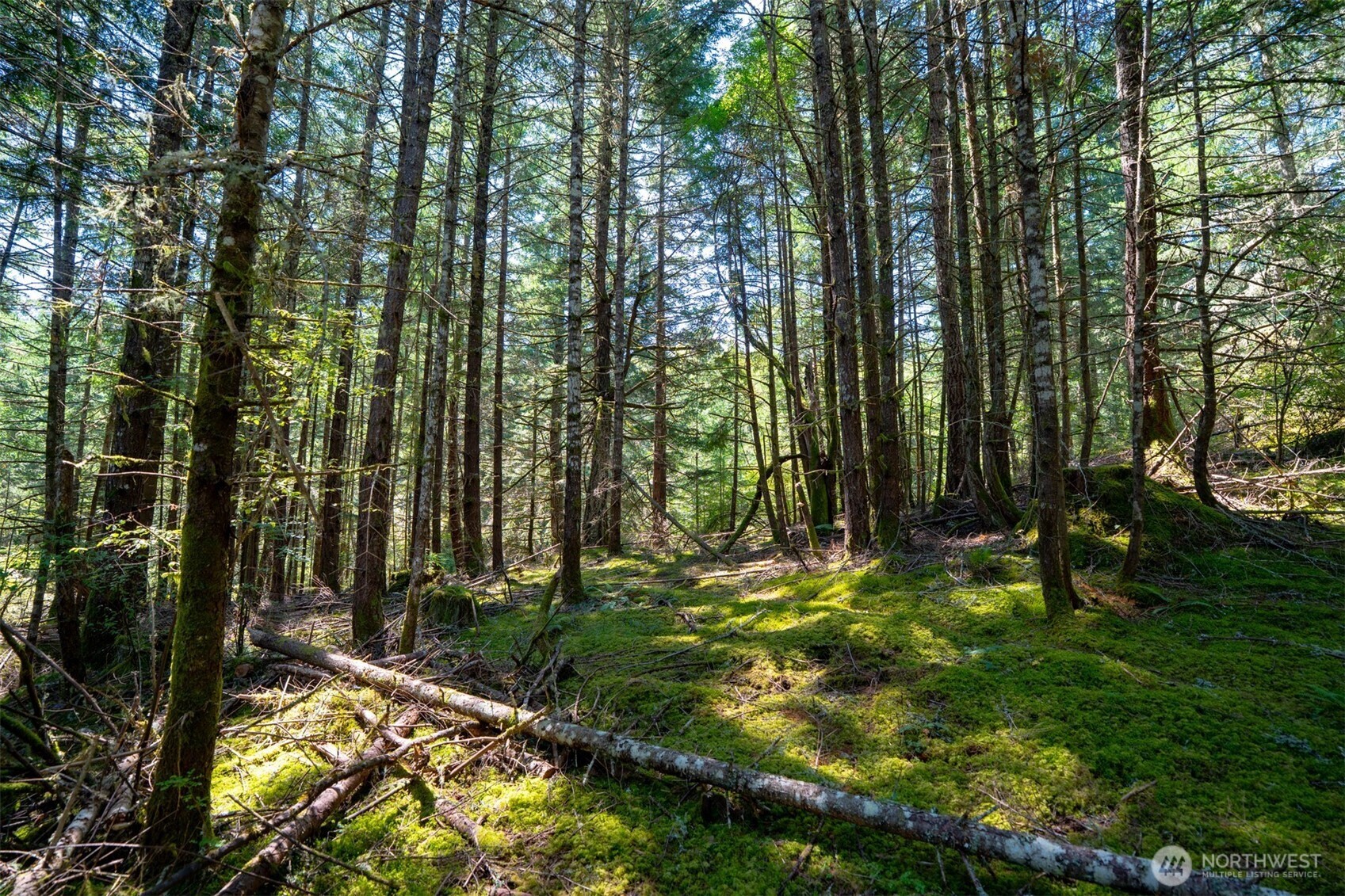 1087 Cady Mountain Road Property Photo 8