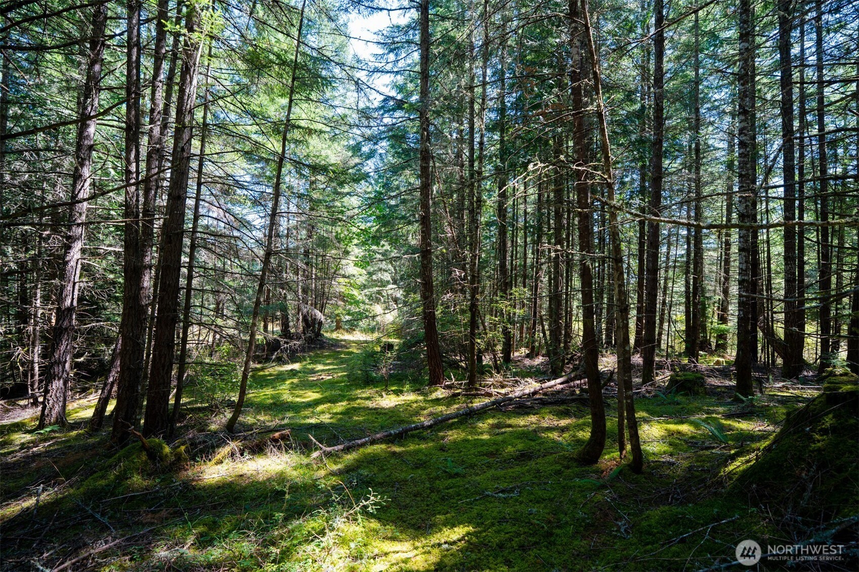 1087 Cady Mountain Road Property Photo 10