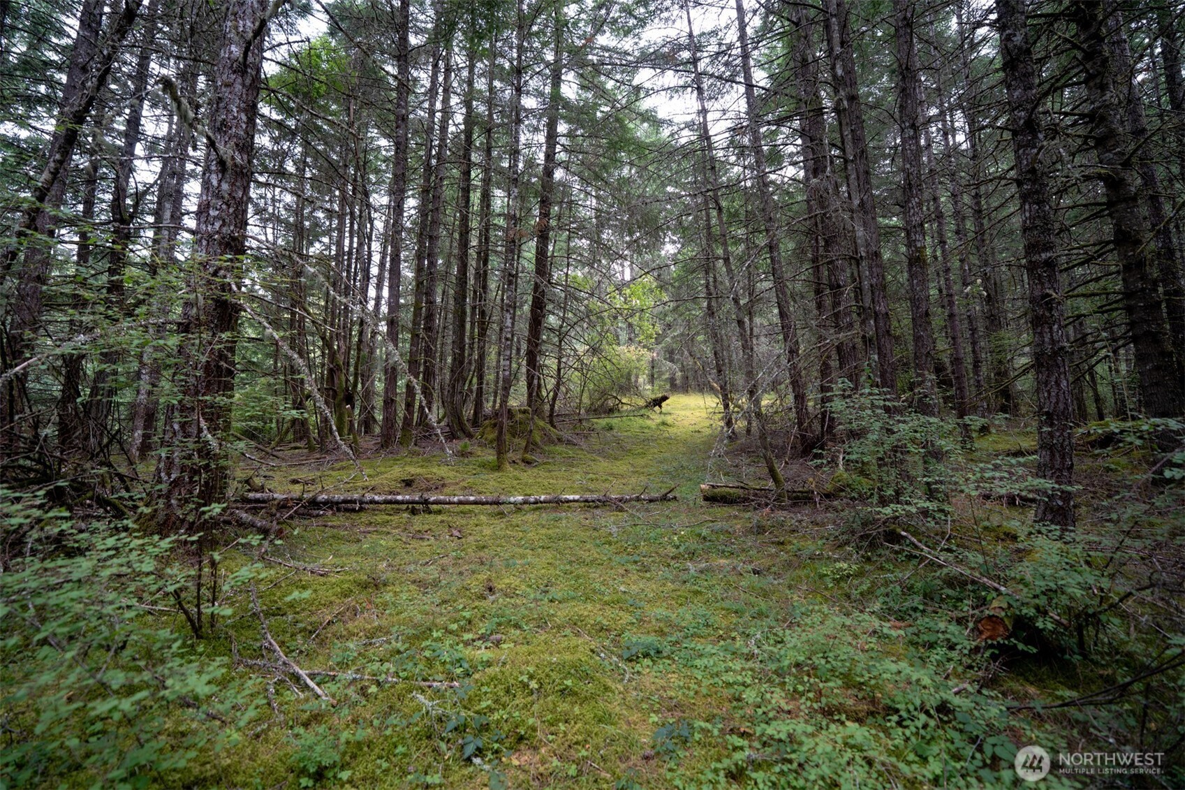 1087 Cady Mountain Road Property Photo 11