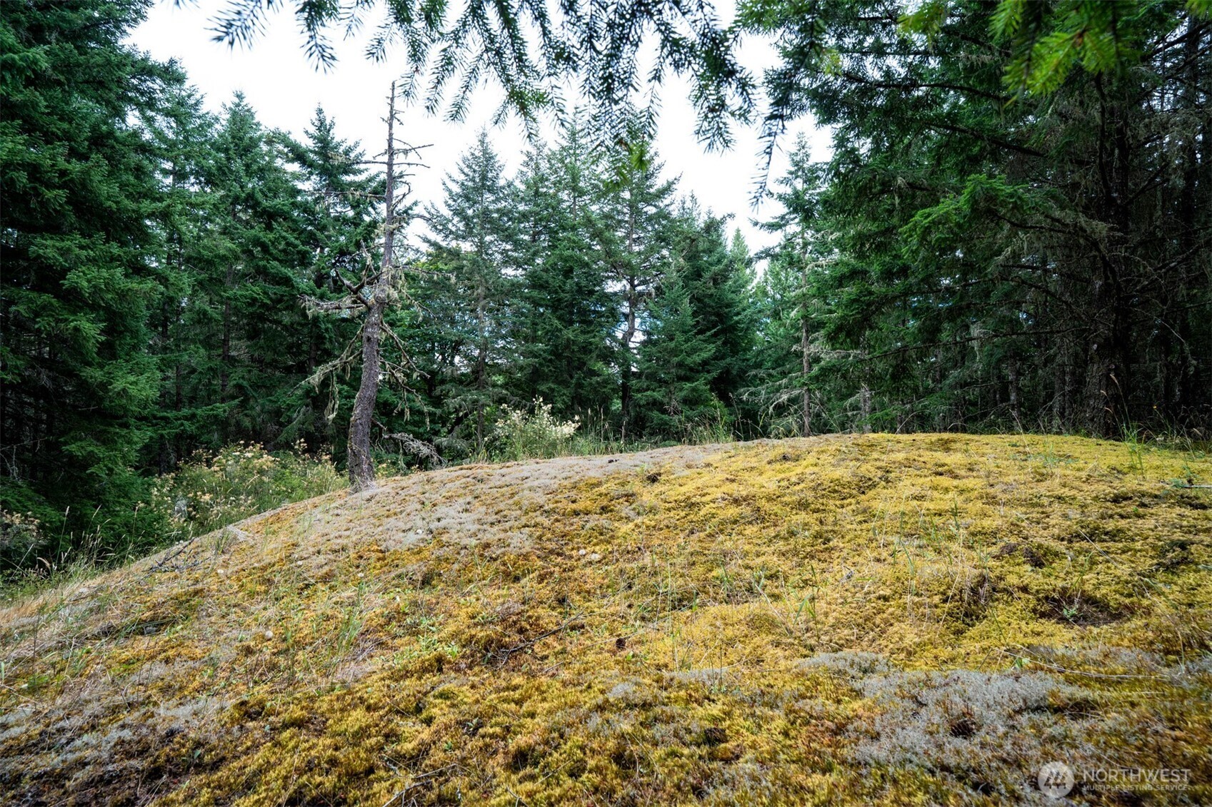 1087 Cady Mountain Road Property Photo 12