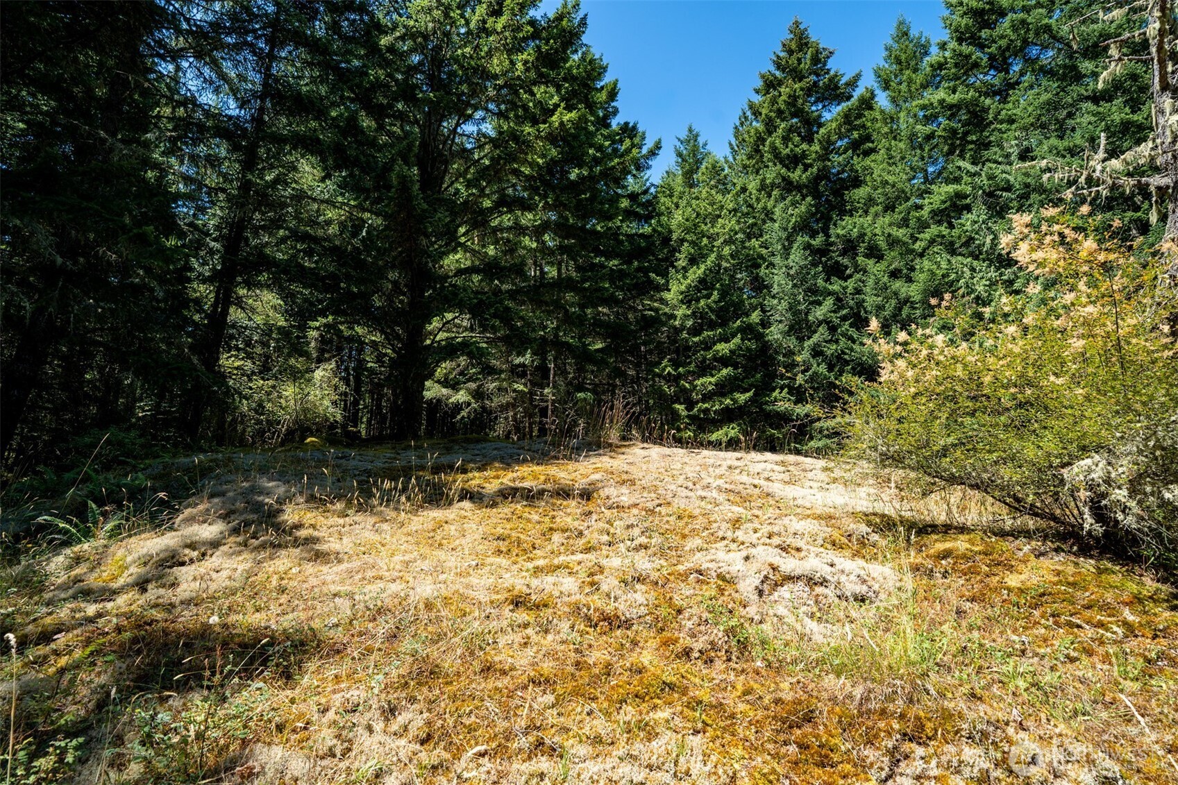 1087 Cady Mountain Road Property Photo 13