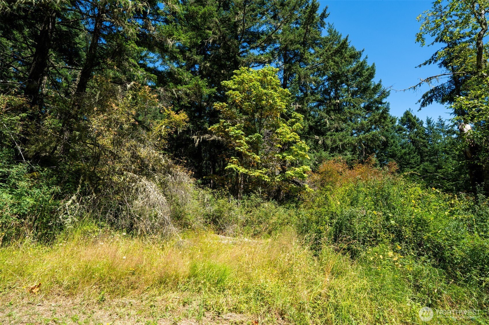 1087 Cady Mountain Road Property Photo 14