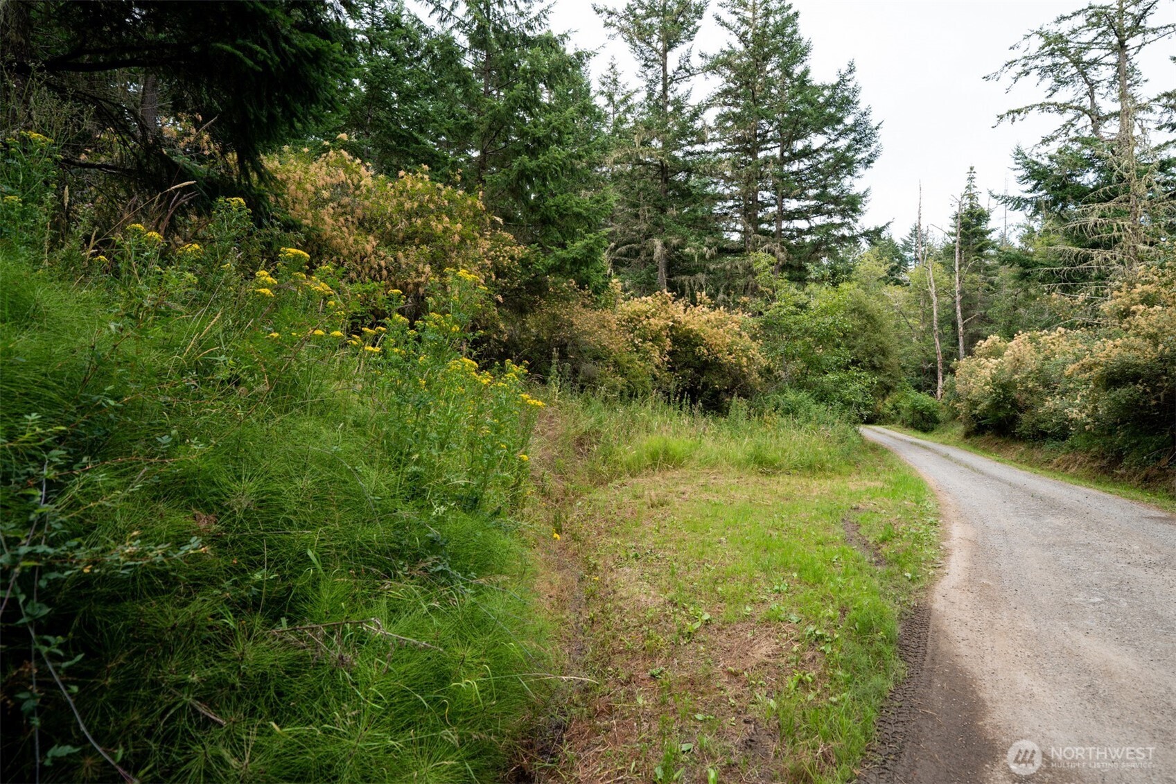 1087 Cady Mountain Road Property Photo 15