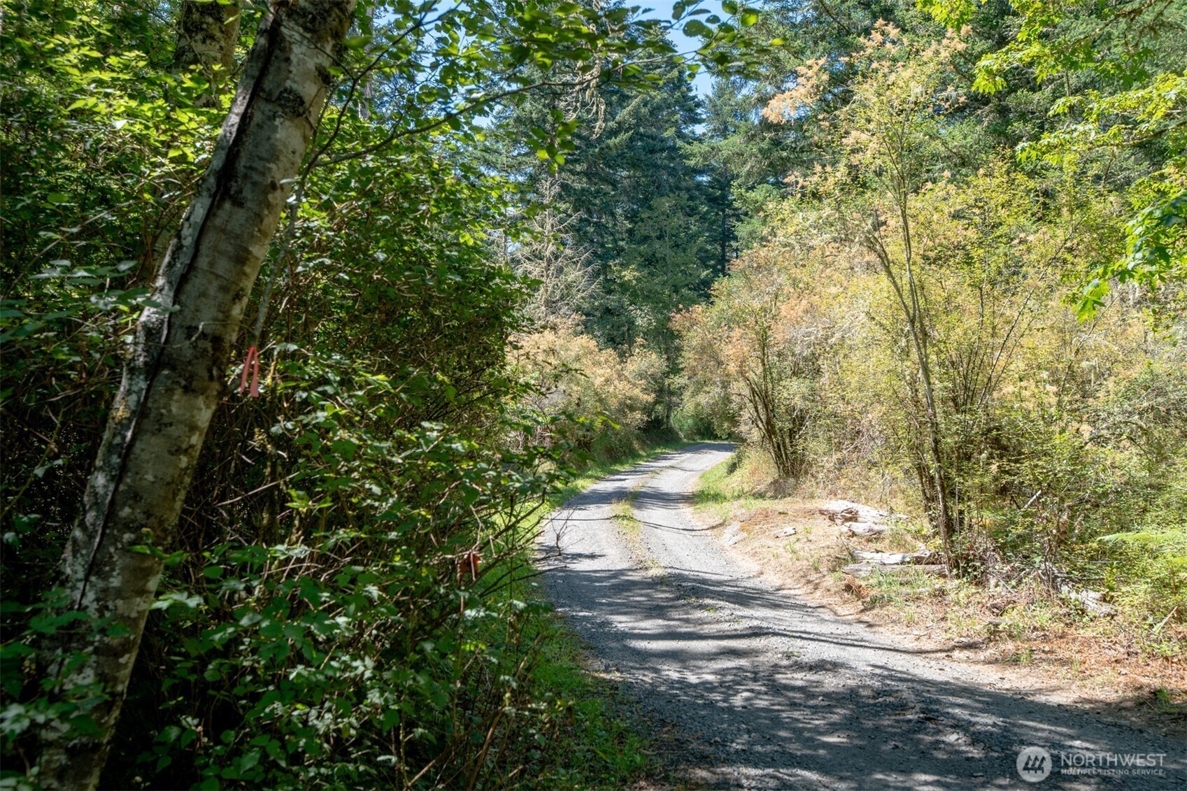 1087 Cady Mountain Road Property Photo 16
