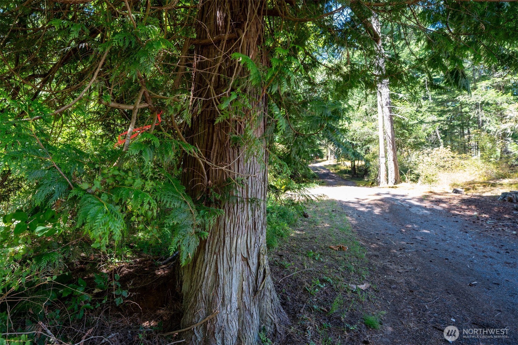 1087 Cady Mountain Road Property Photo 17