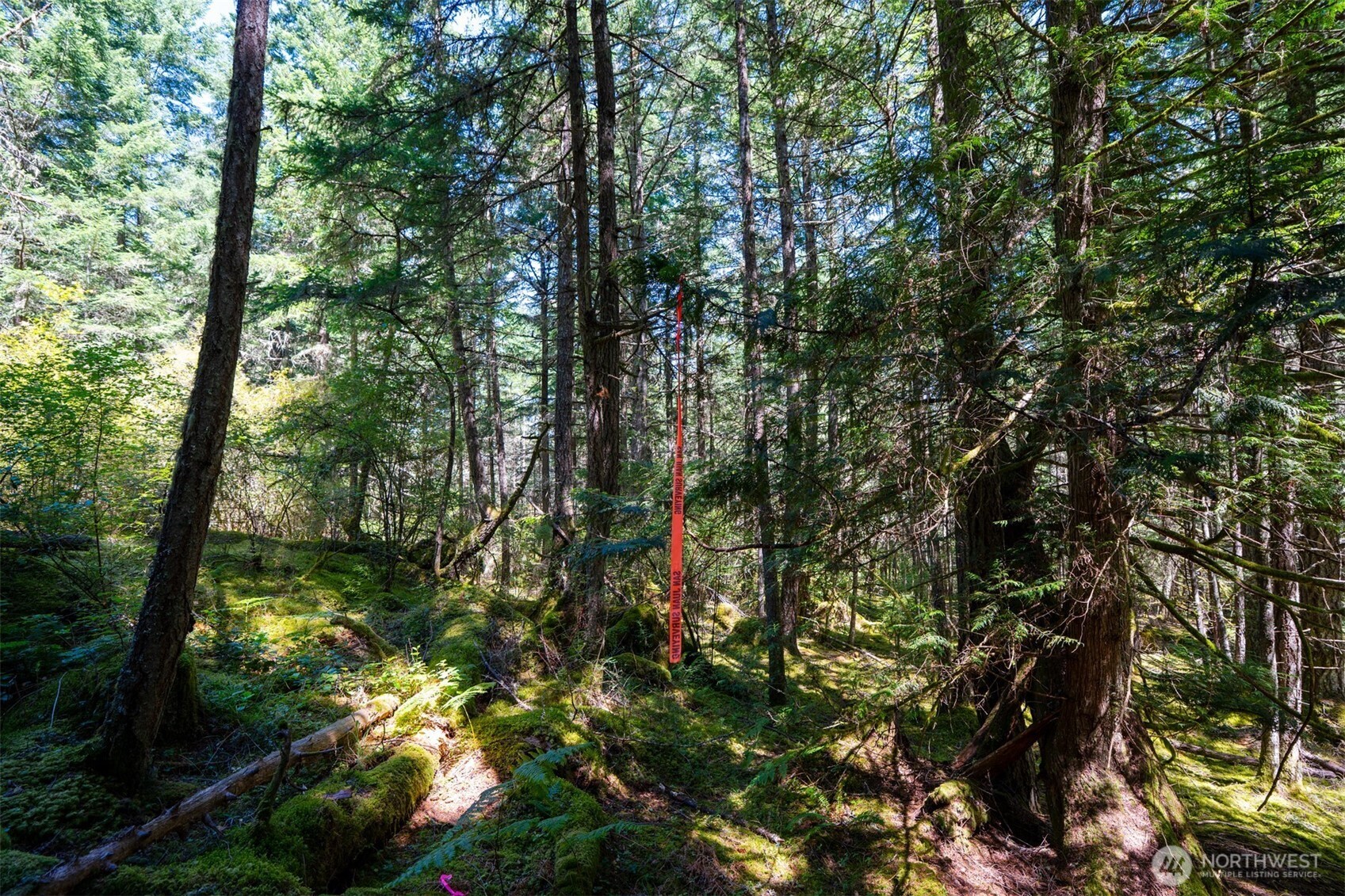 1087 Cady Mountain Road Property Photo 19