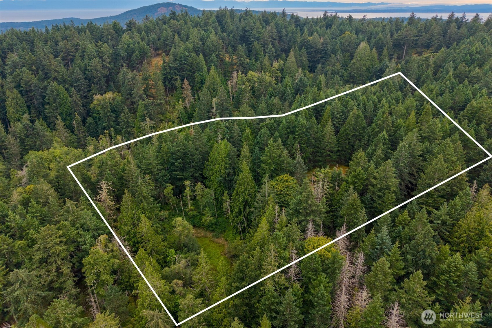 1087 Cady Mountain Road Property Photo 22