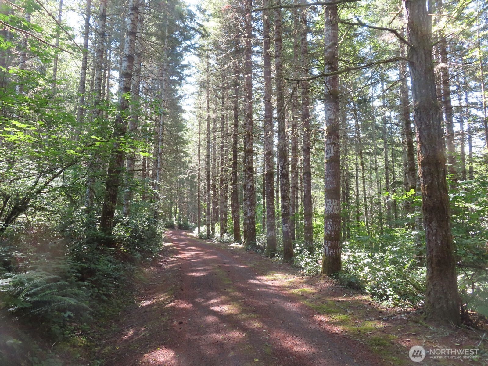 419 Meskill Road Property Photo 18