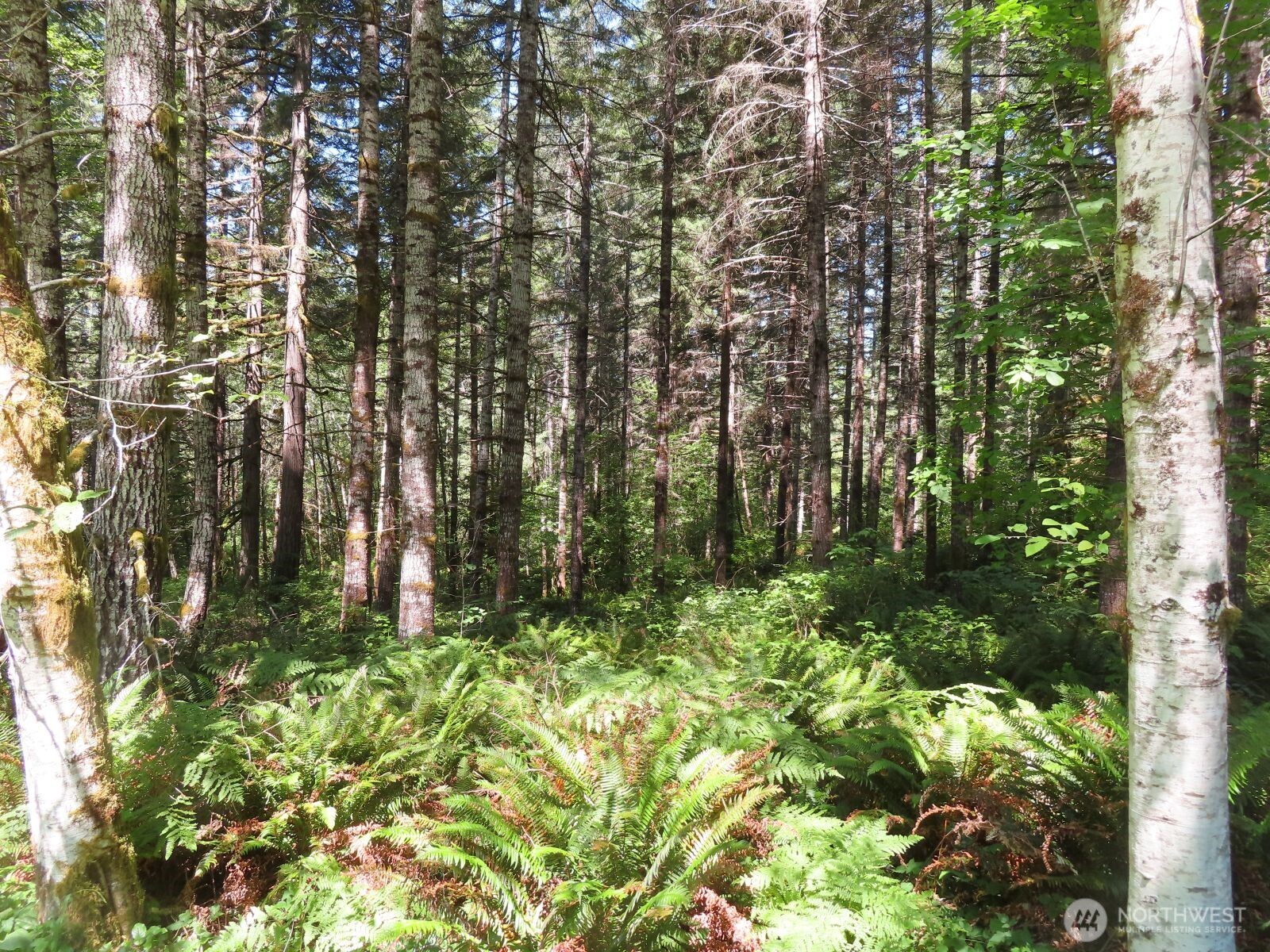 419 Meskill Road Property Photo 19