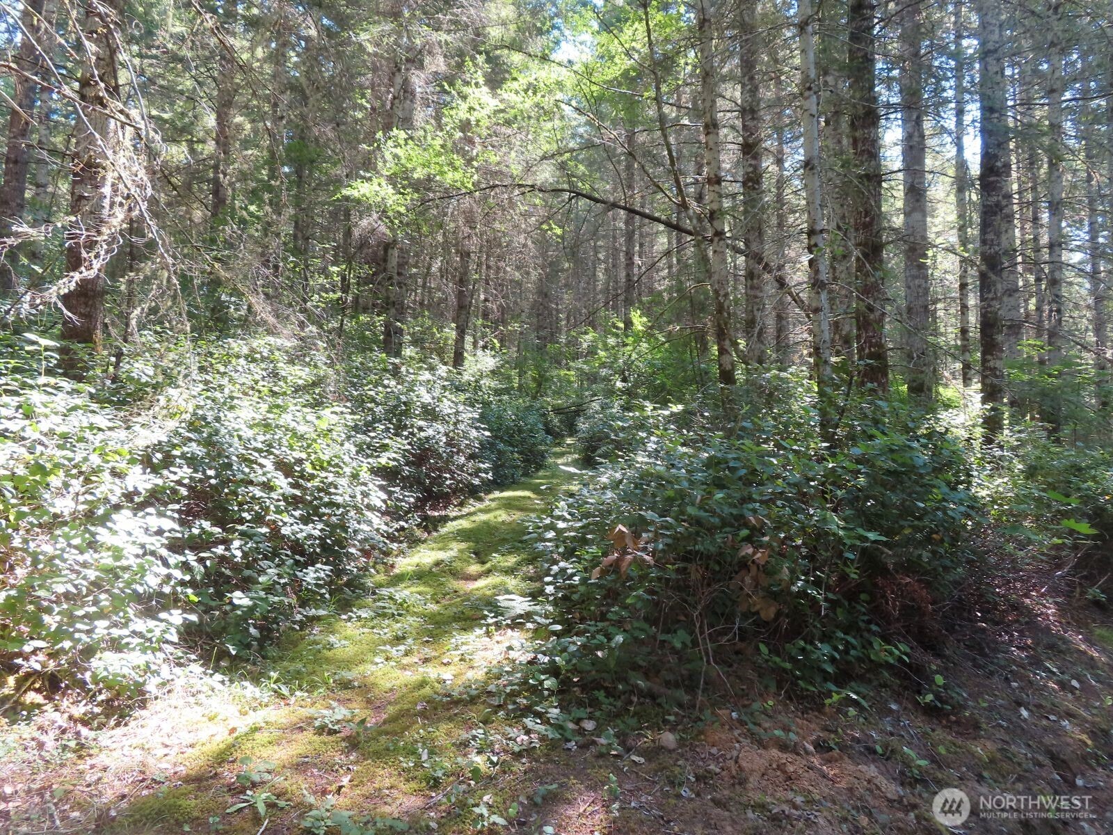 419 Meskill Road Property Photo 37